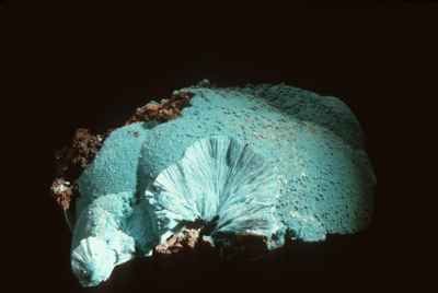 Silver Bill Mine - AURICHALCITE - ASDM - Photo by Monica Graeme