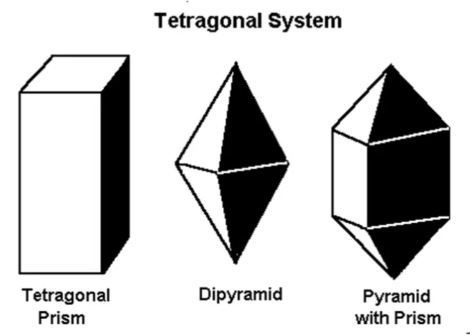 Picture 3.jpg