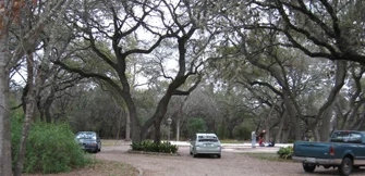 Site