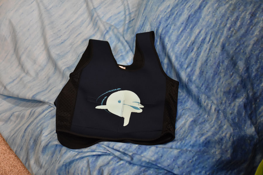 We purchased a weighted compression vest for Landyn with a dolphin print from Fun & Function! Who knew there was a vest with his favorite marine mammal?