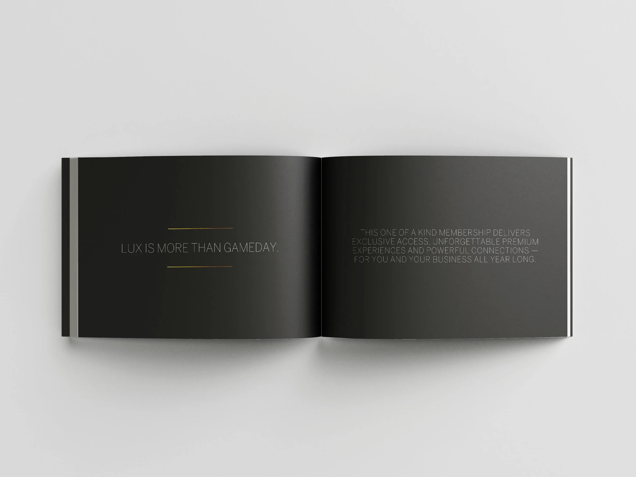 200930_LUX_Booklet_Spreads_1.jpg