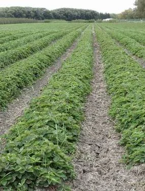 Resize of DSC00584.JPG