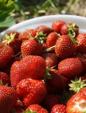 Resize of IMG_5355.JPG