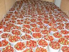 Resize of P1020457.JPG