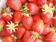 Resize of P1020460.JPG