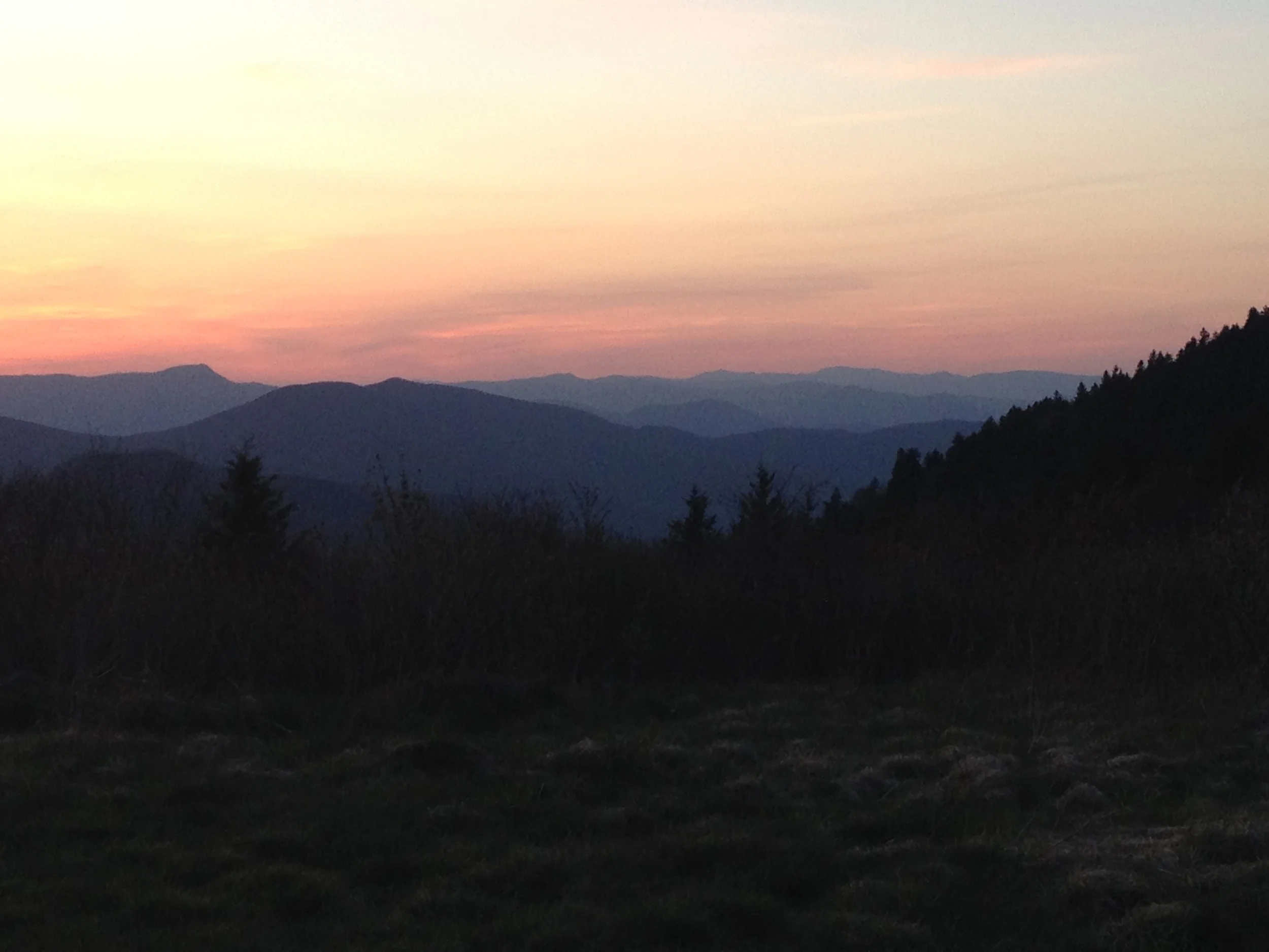 Moments after taking this picture I was running from a bear.