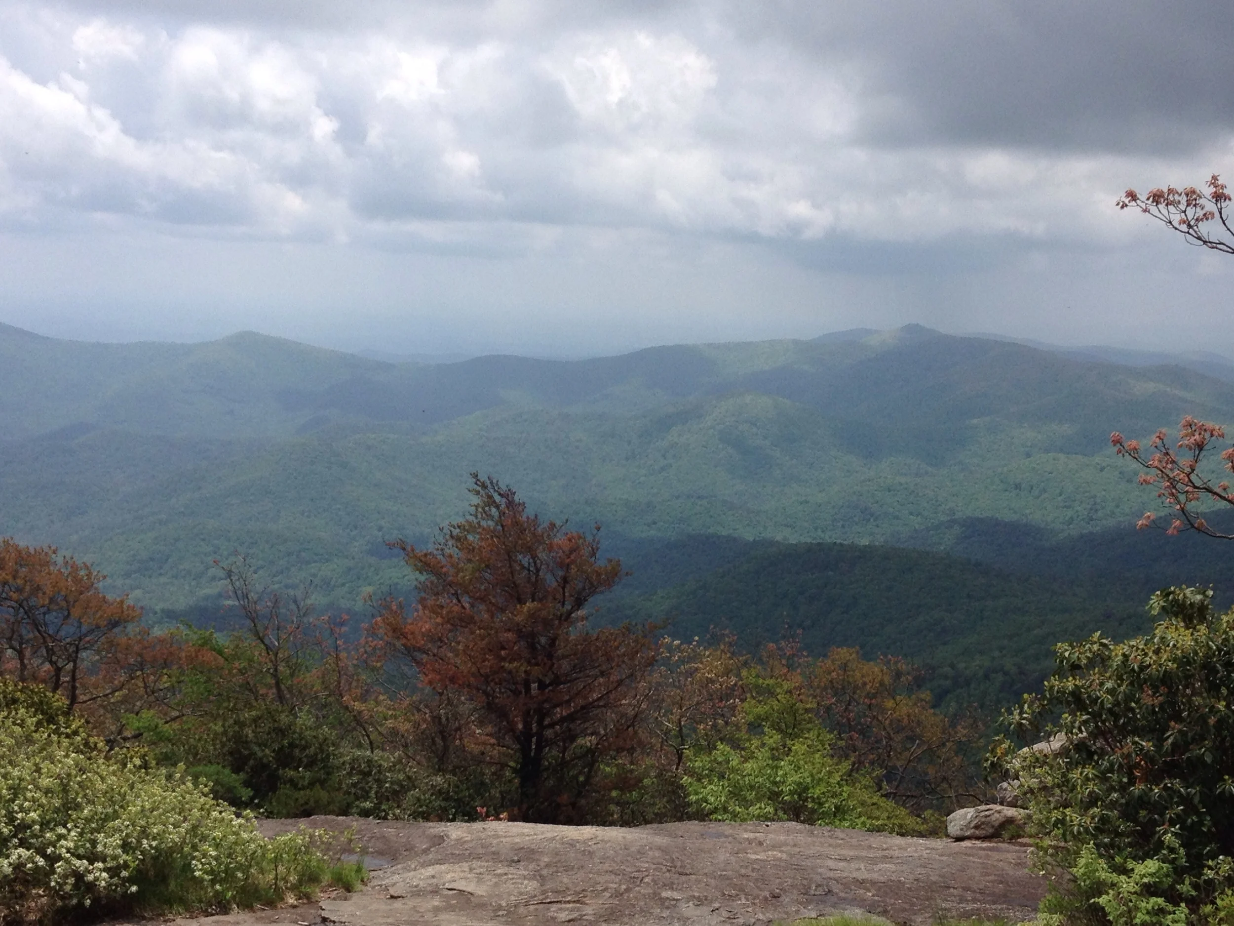 View from Blood Mountain