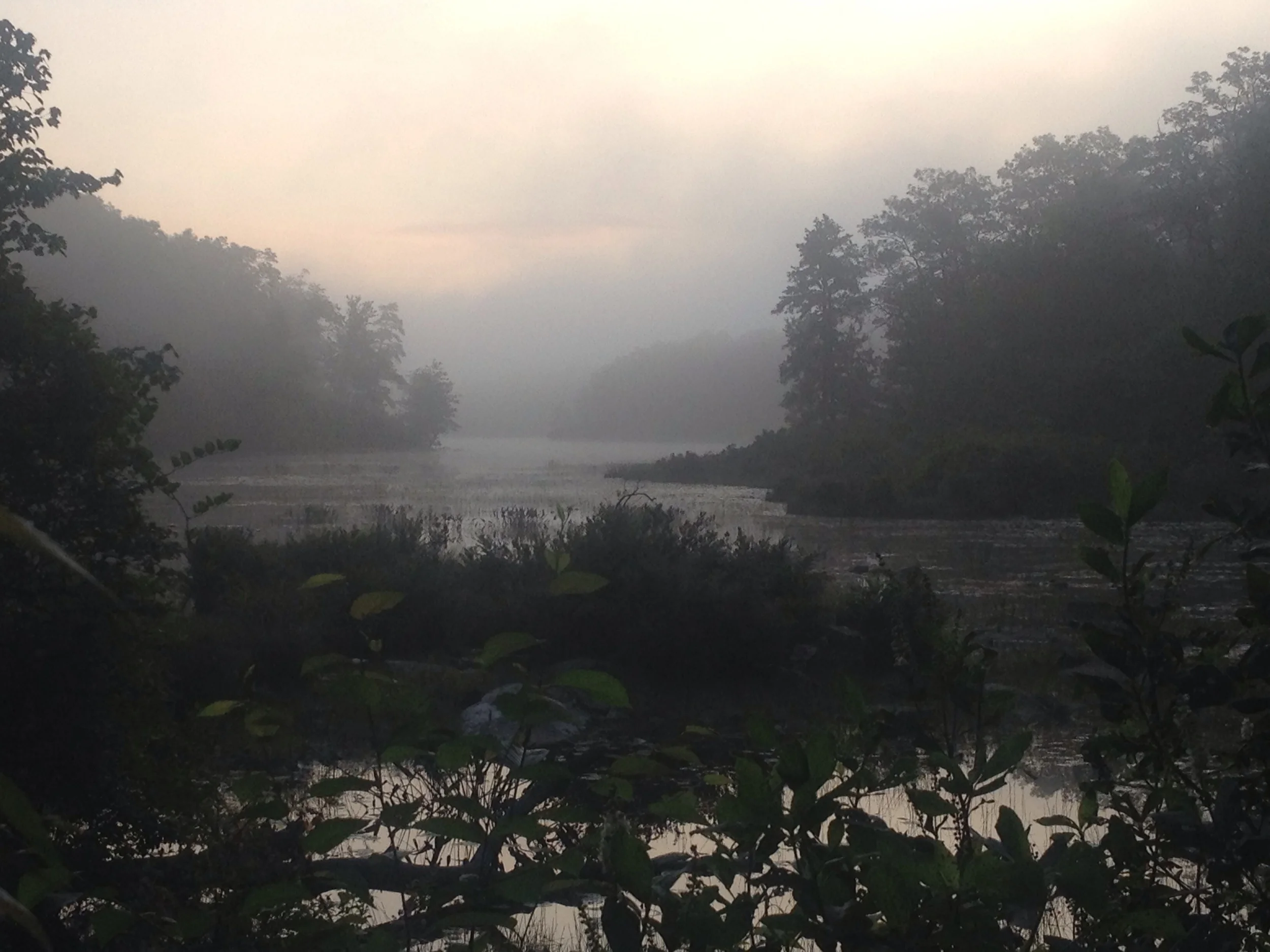 Swamps in New Jersey