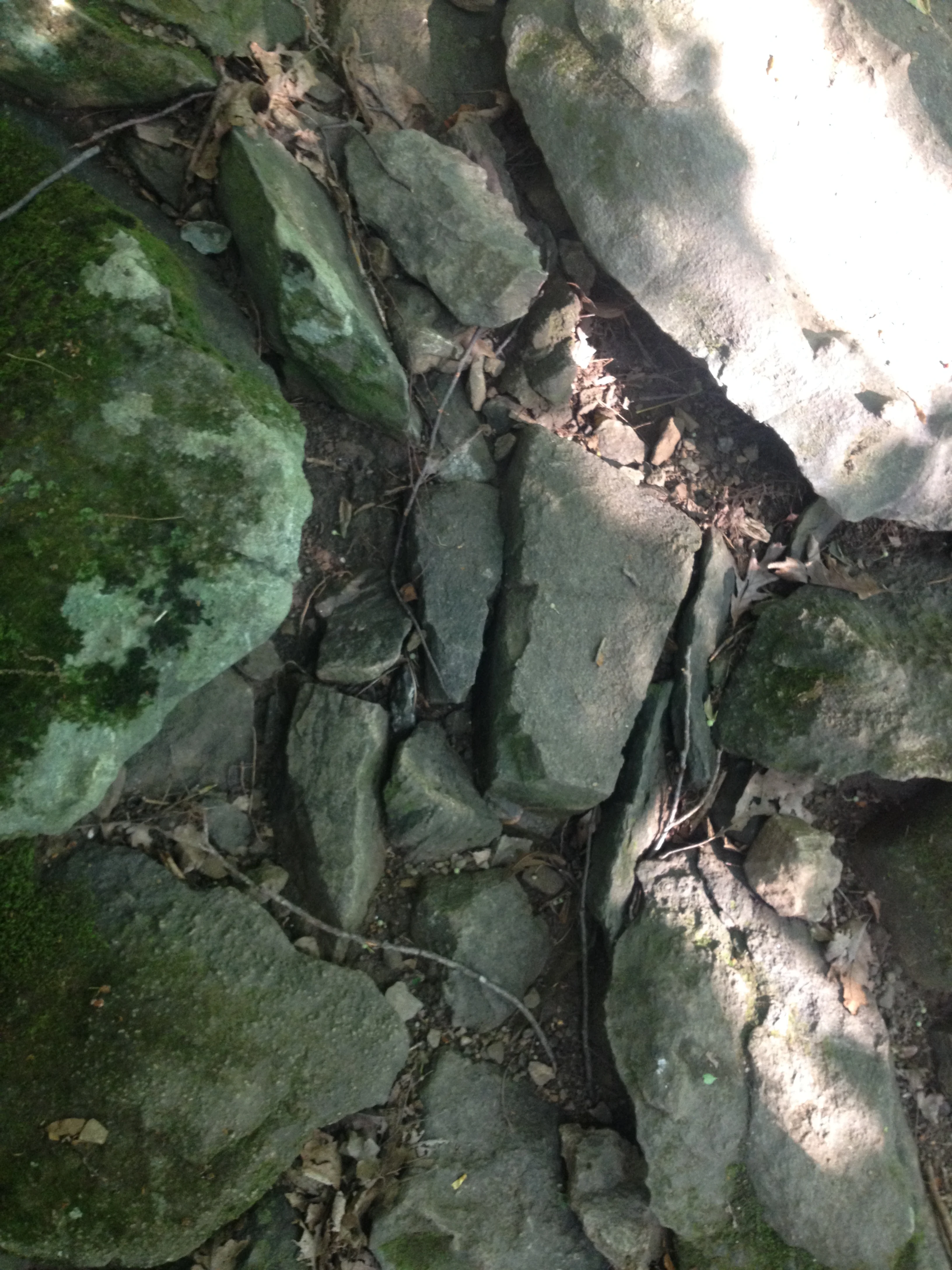 Pennsylvania Rocks