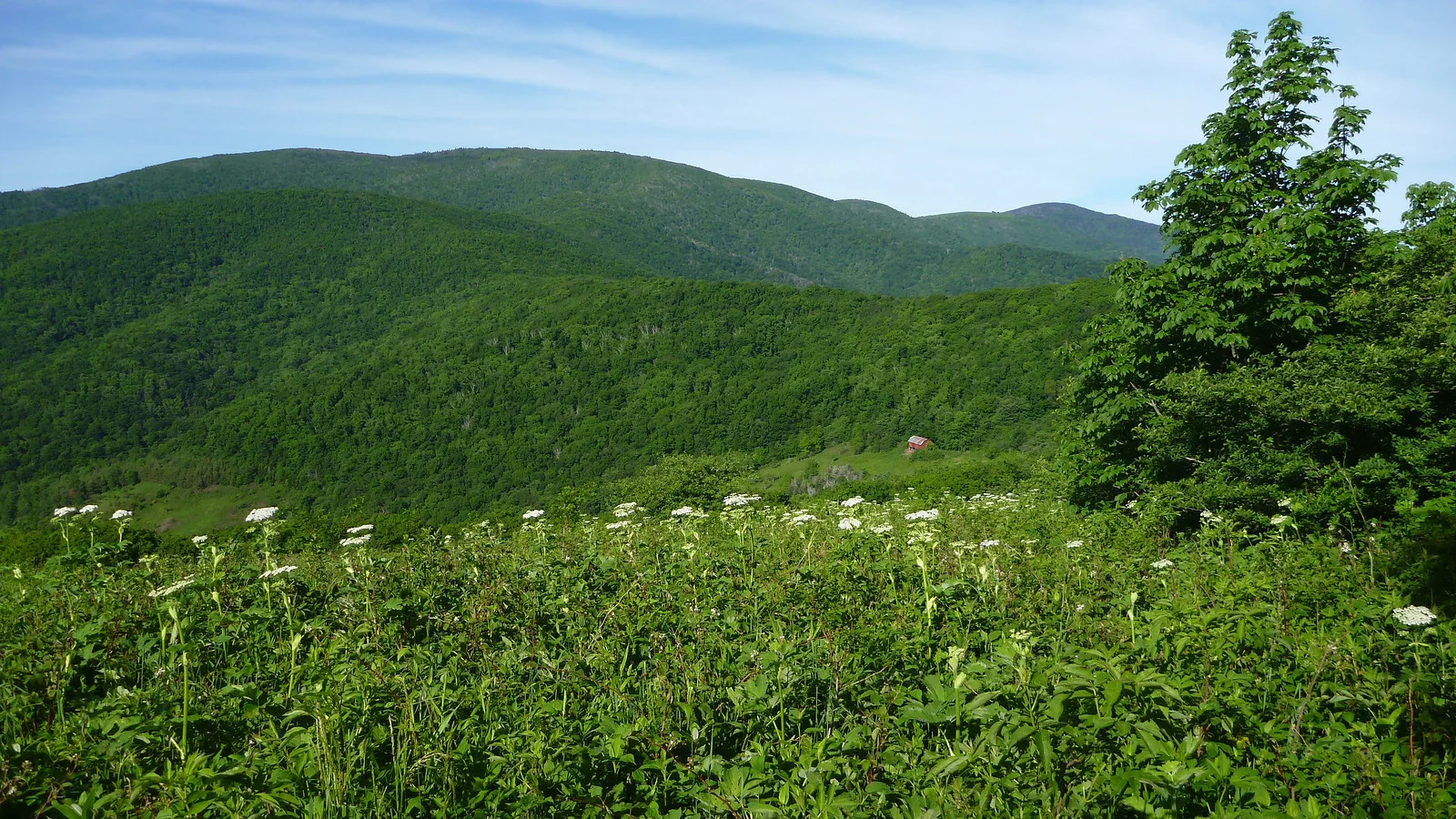 Overmountain Shelter
