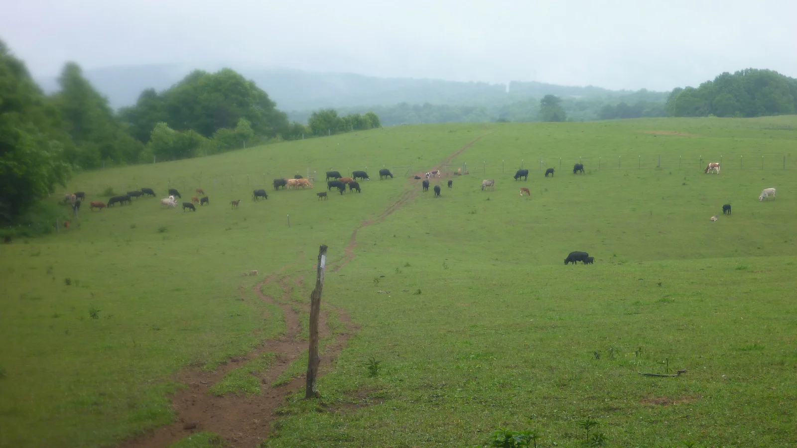 AT into Virginia