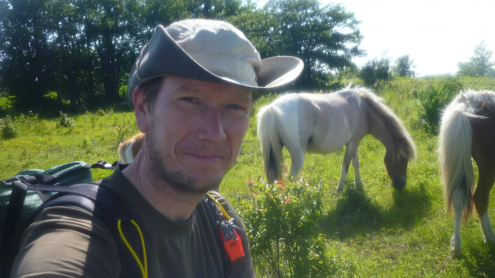 Green Giant and the ponies at Grayson Highlands