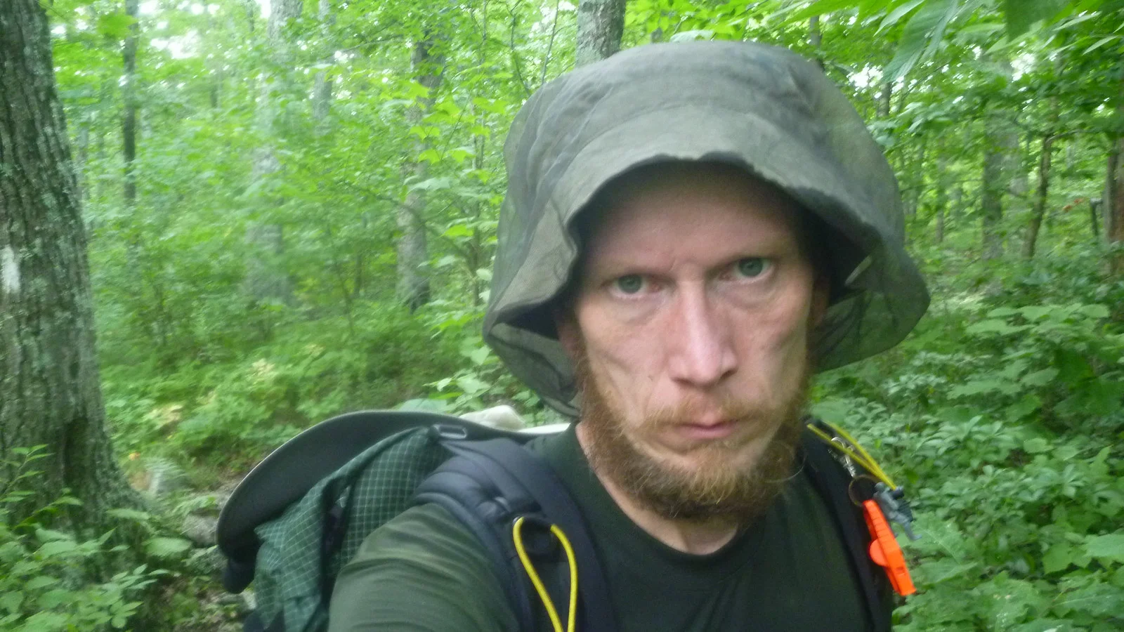 Annoyed by bugs in CT