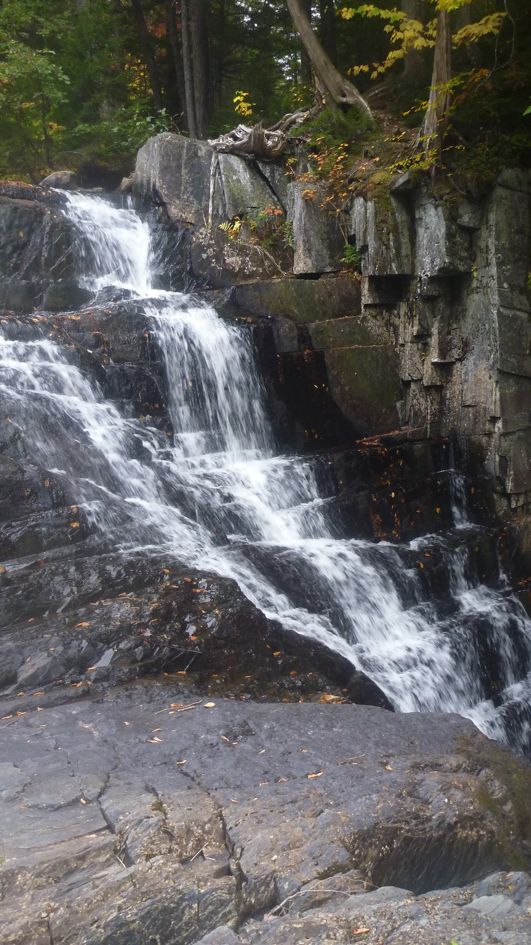 Little Wilson Falls in the 100 Mile Wilderness