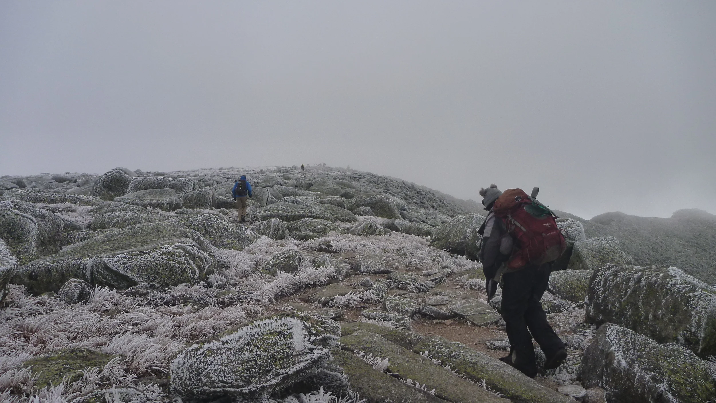 Green Giant and Lemmy on the trail to Mount Katahdin