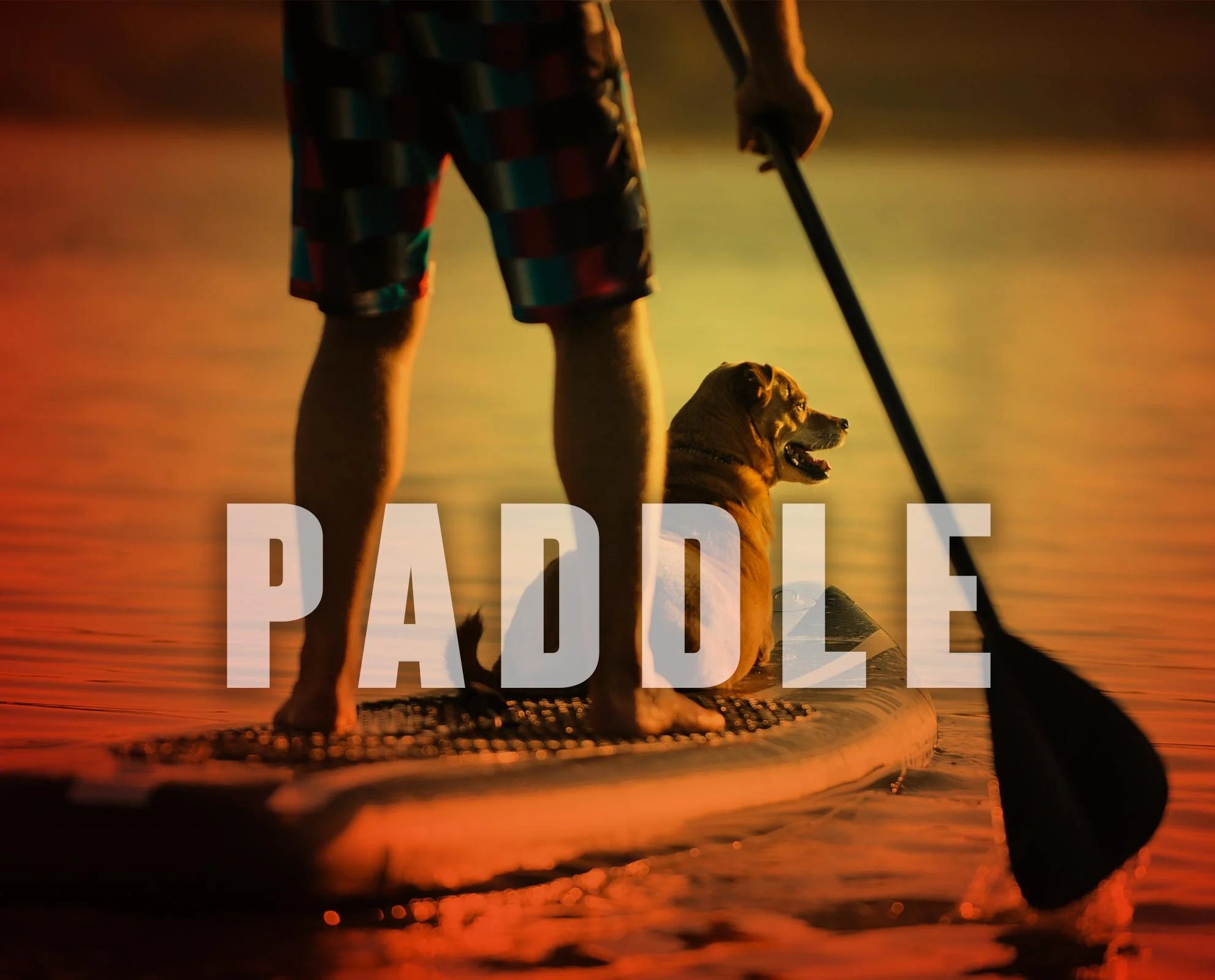 Paddle Board Rentals Central Oregon Good Bike Co. LLC