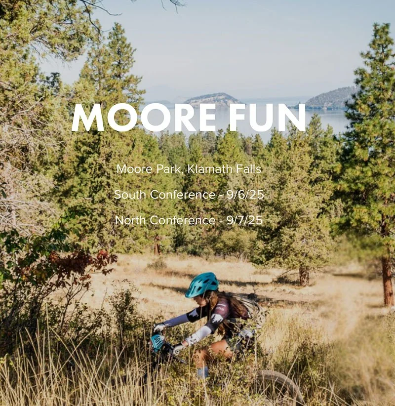 NICA PCOMP – Moore Fun