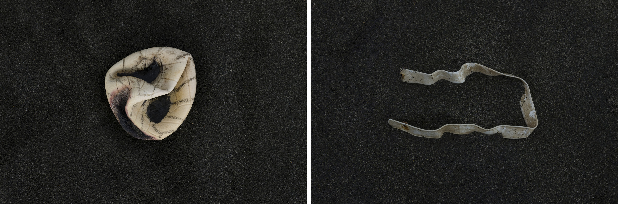 06_diptych_HumanTraces.jpg