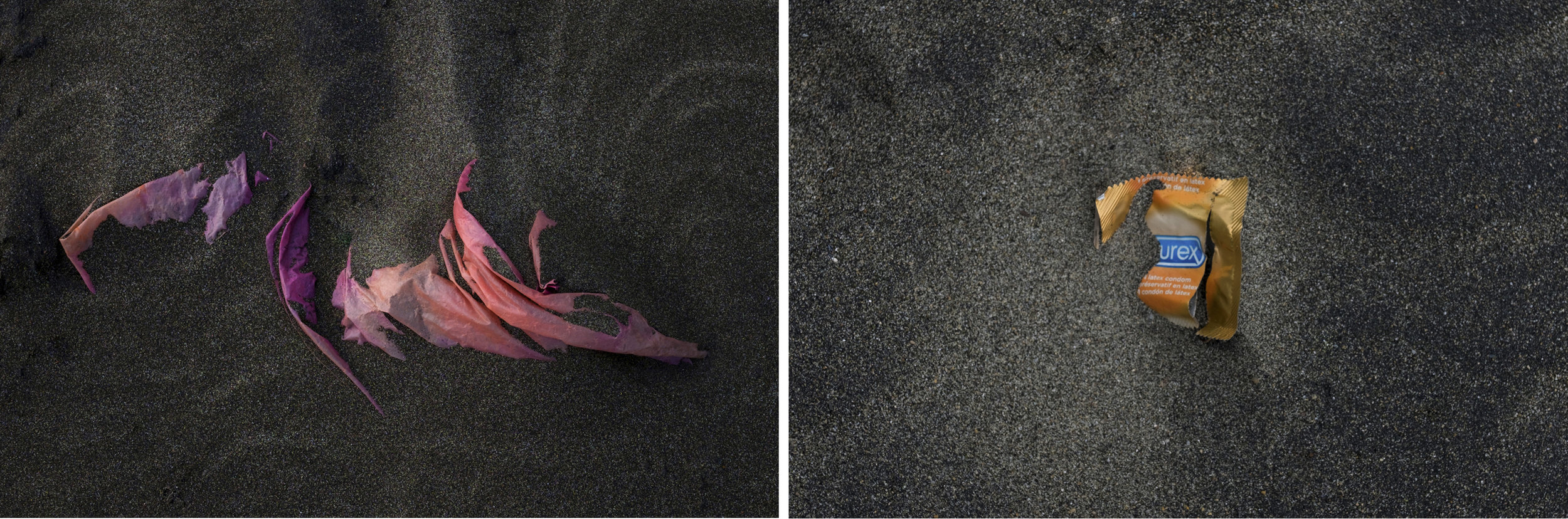 08_diptych_HumanTraces.jpg