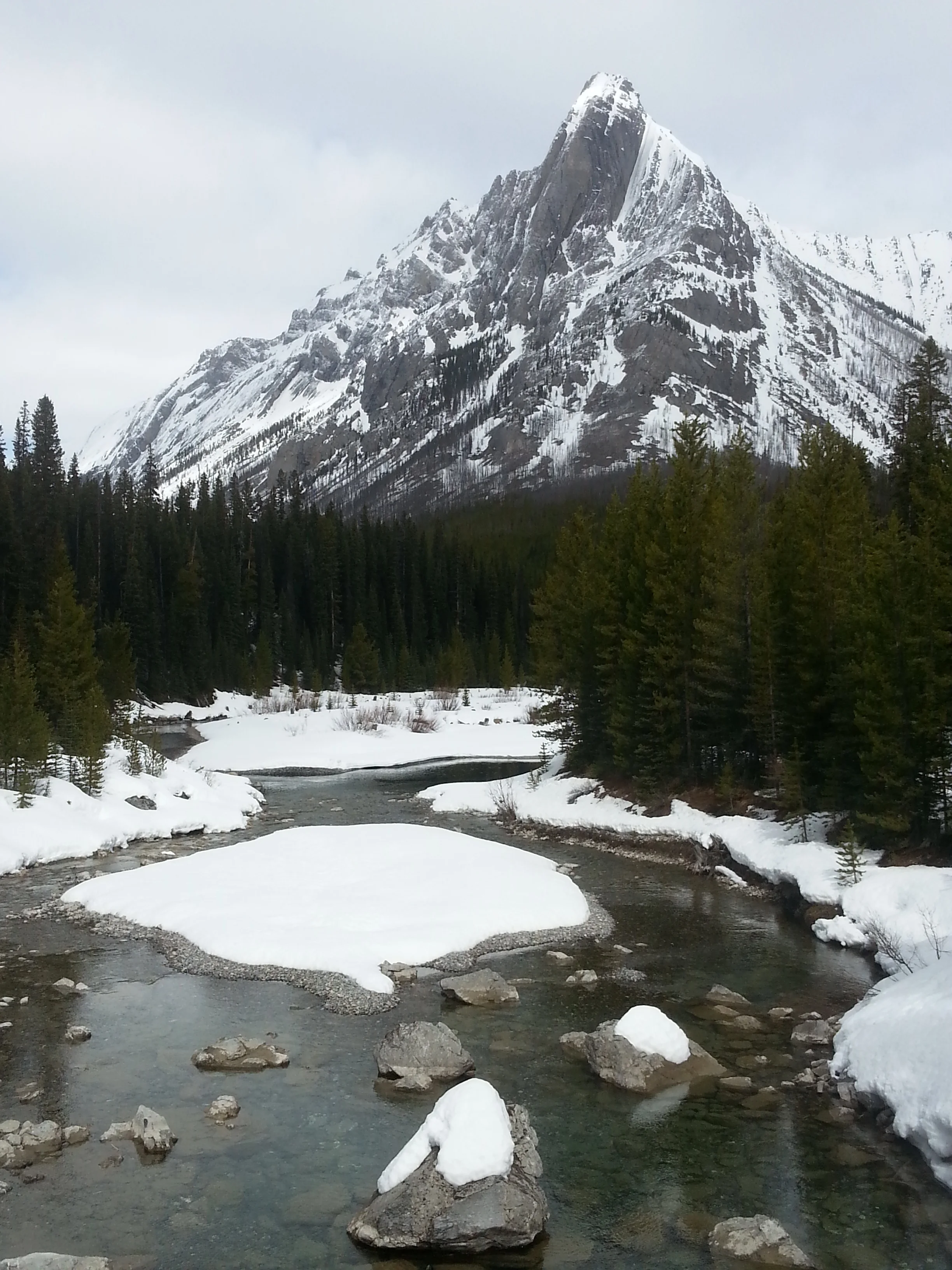 20160405_122305.jpg