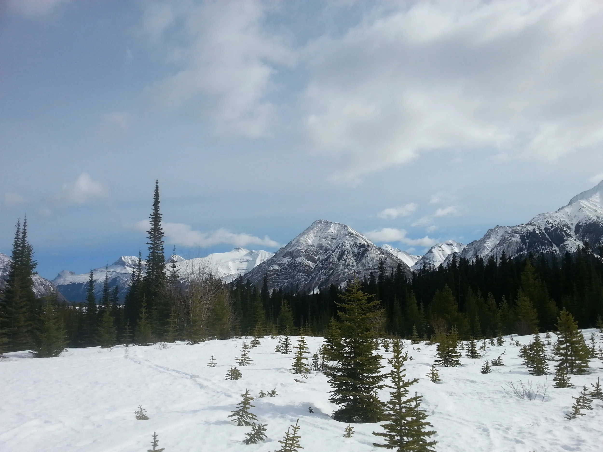 20160405_105821.jpg