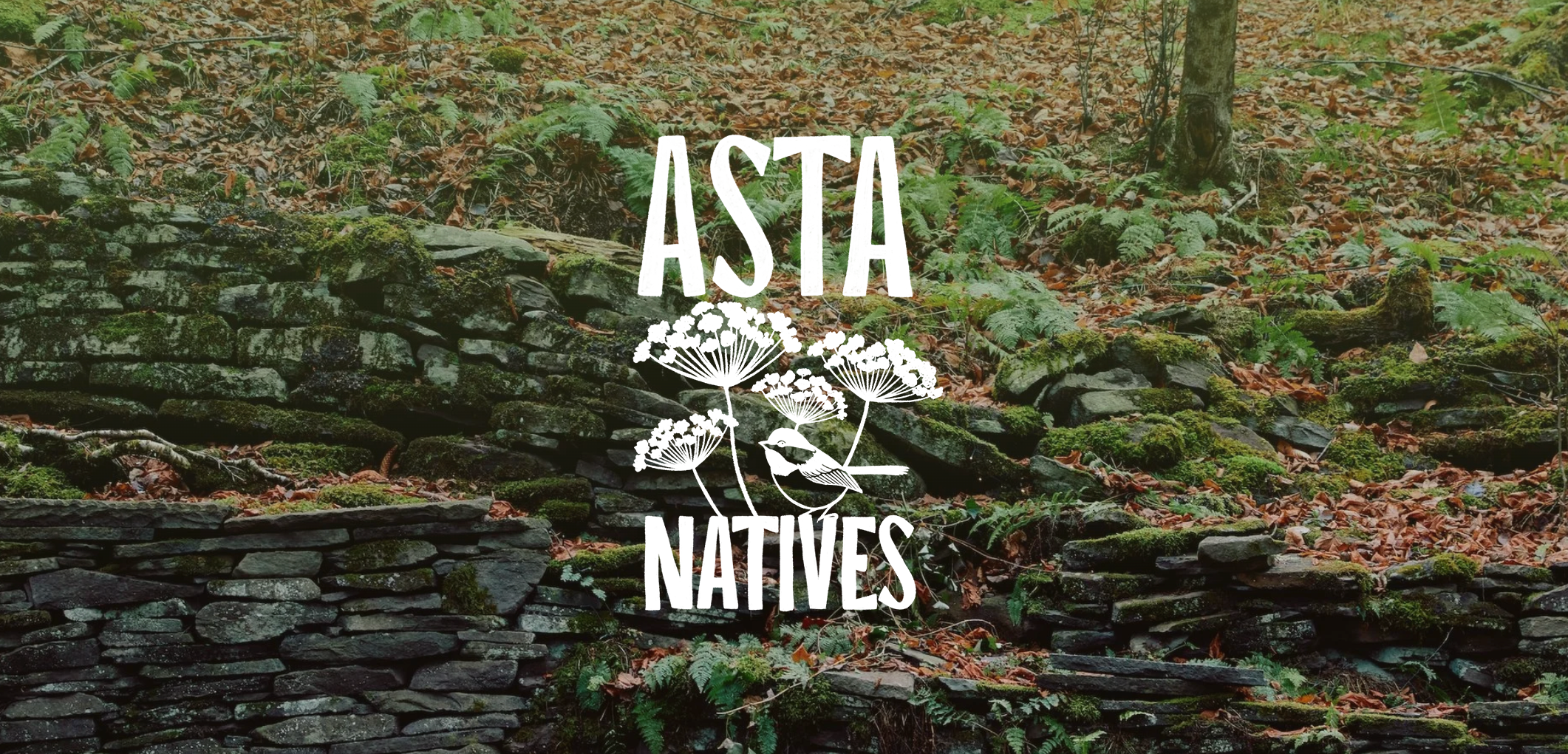 Asta Natives