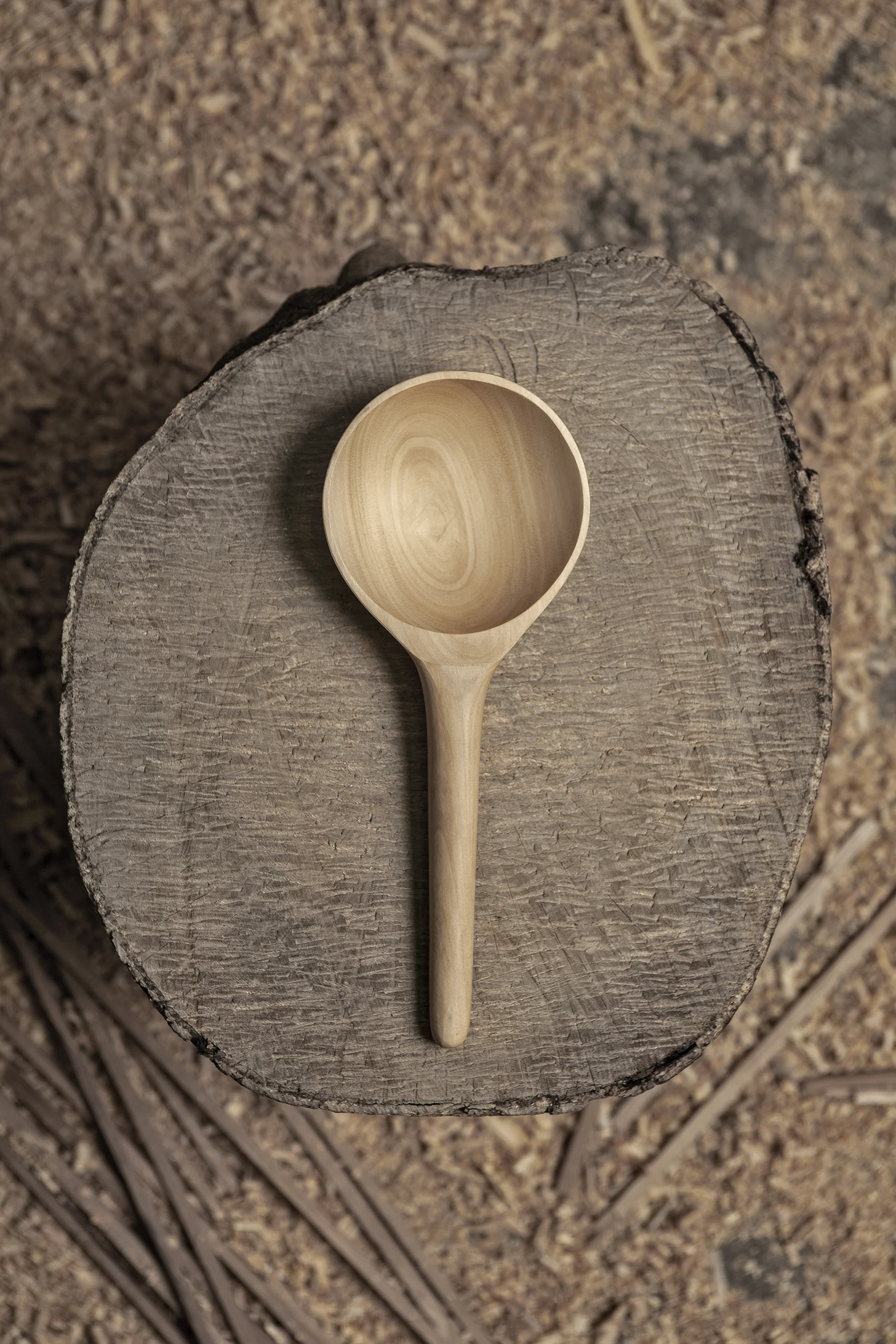 PALTA PARA SERVIR-PS 01-CL.jpg