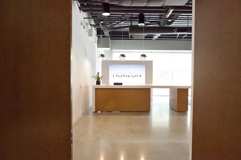 Horizon Lightbox2.jpg