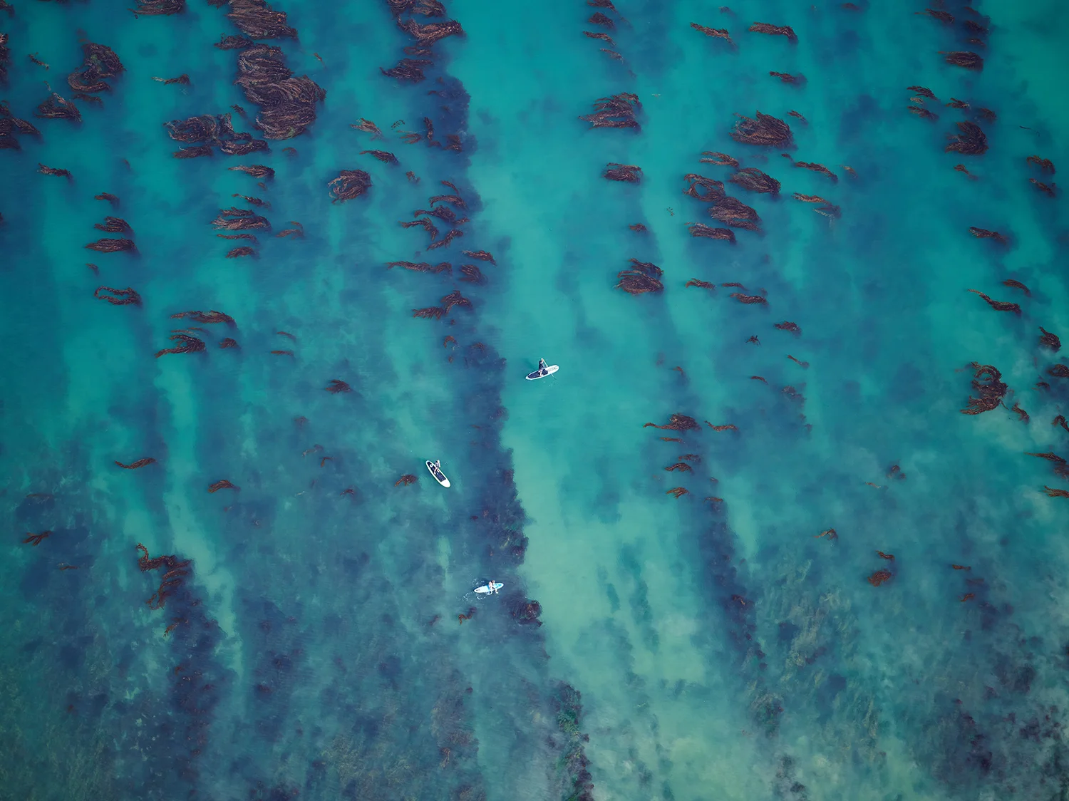 Aerial Plex Detail.jpg