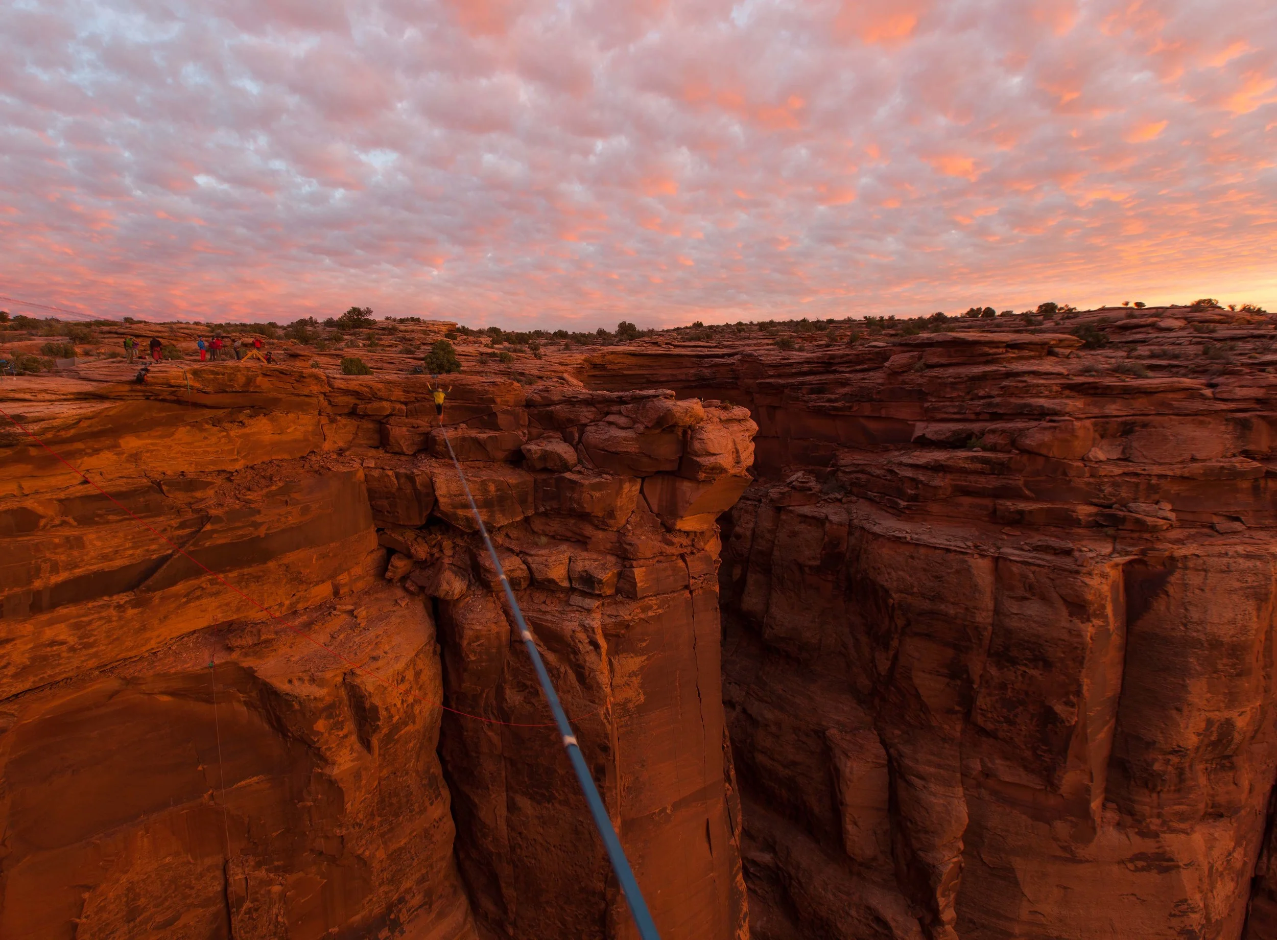 _MG_3537.JPG