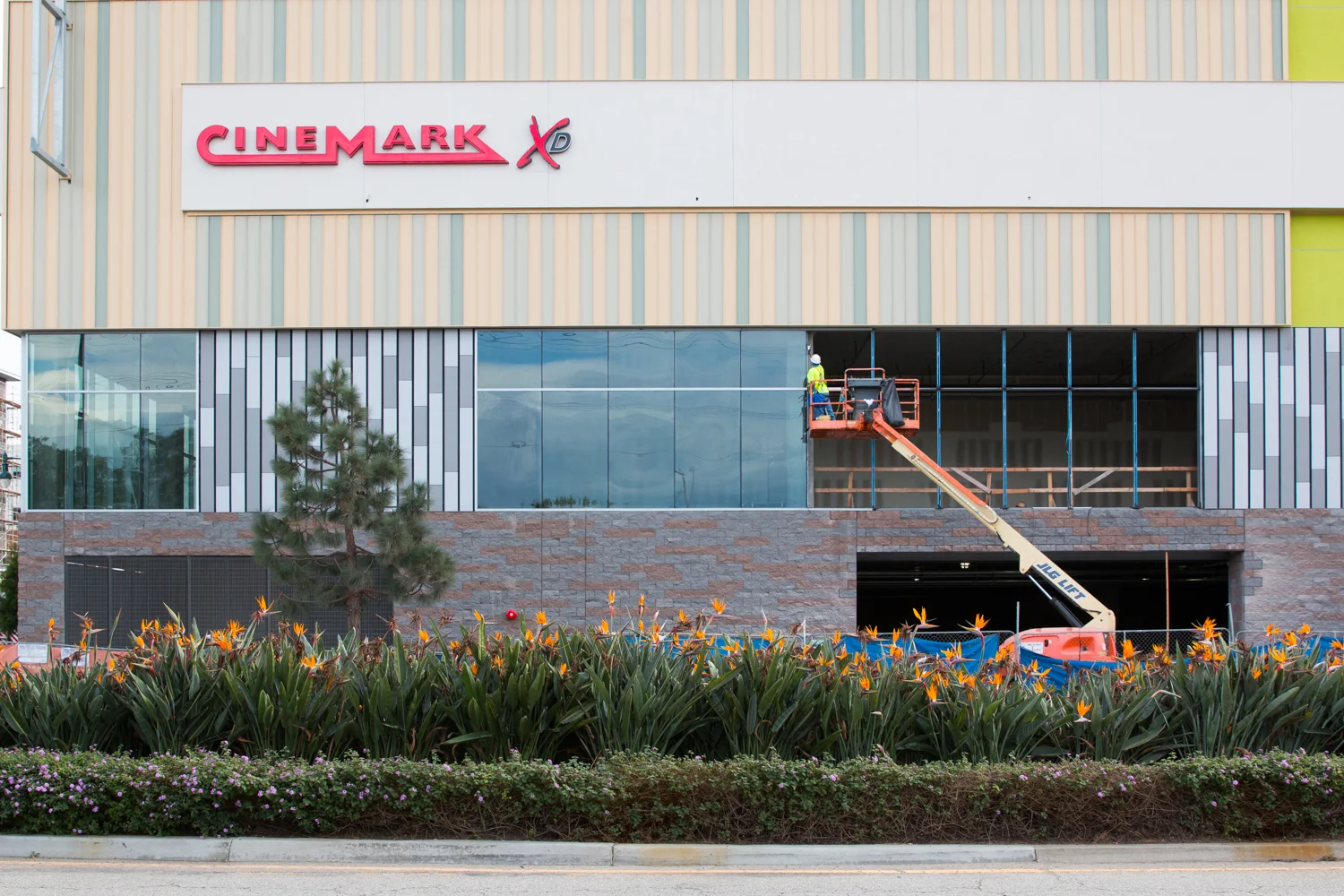 RMS_20150130 Runway -29.JPG