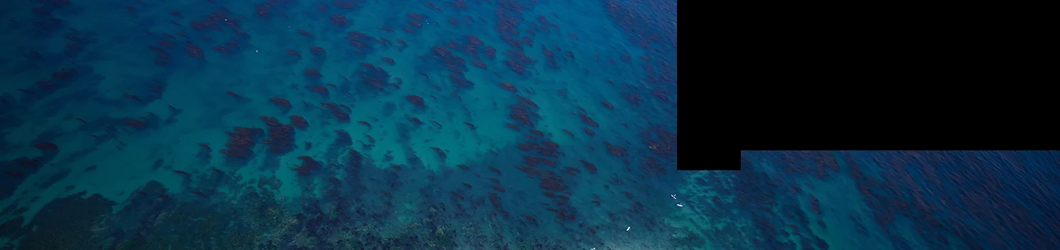 1STFLOOR_COMP6_FULL IMAGE.jpg