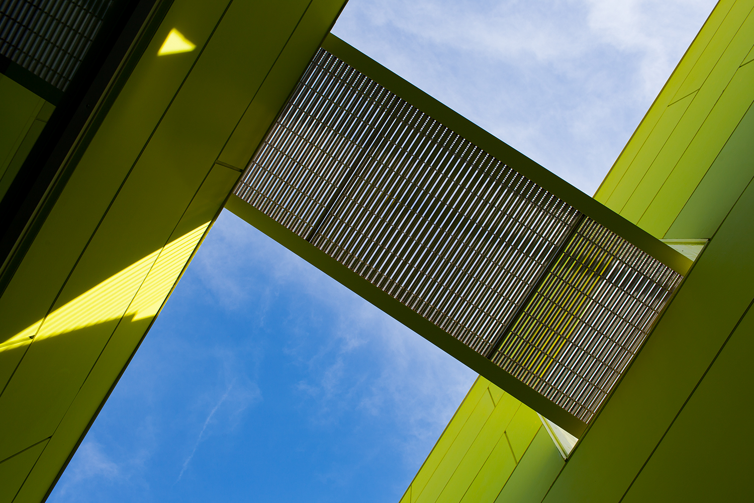 ©2015RMS_IMG_4942.jpg