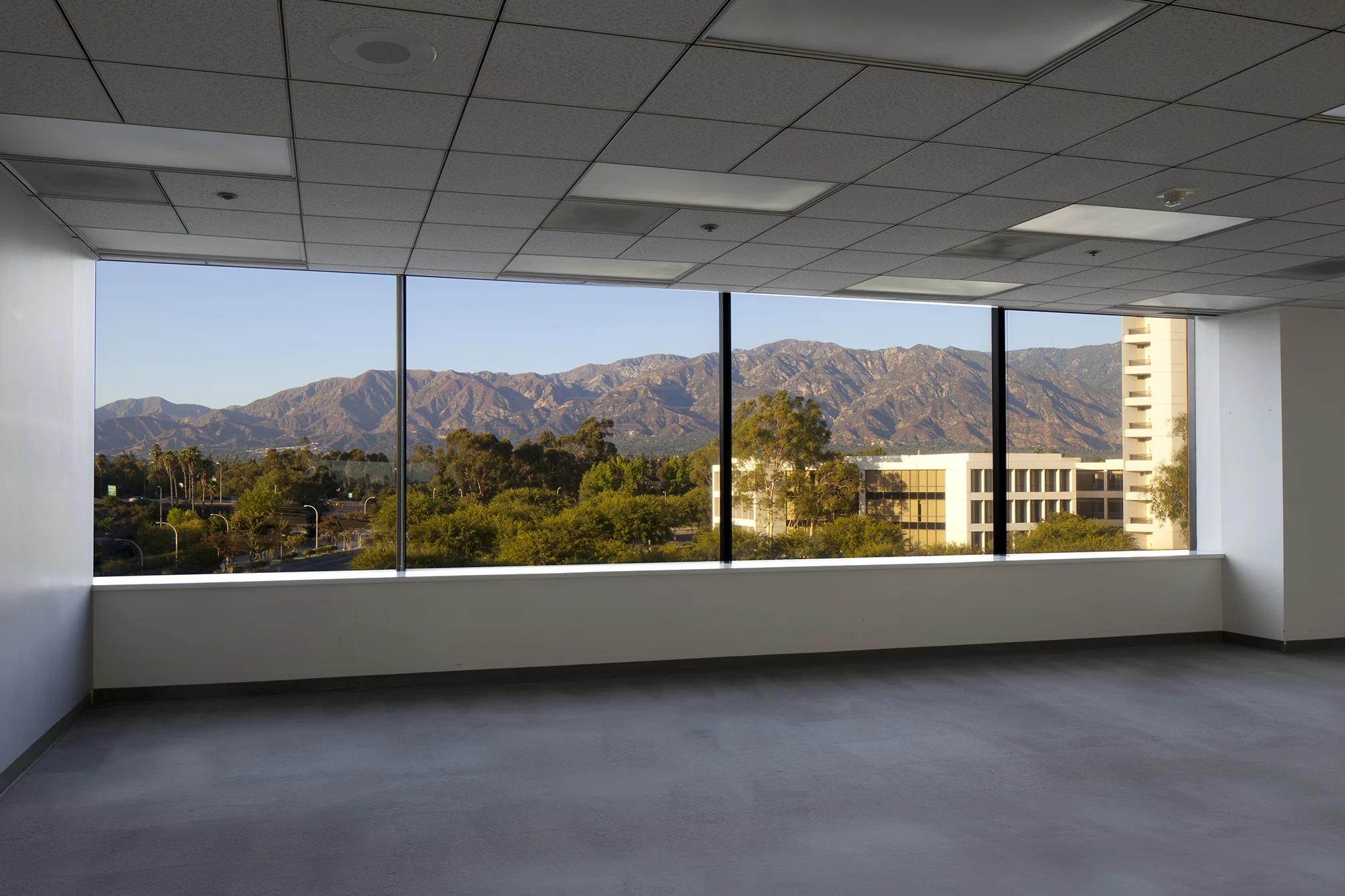 PASADENA_4.jpg