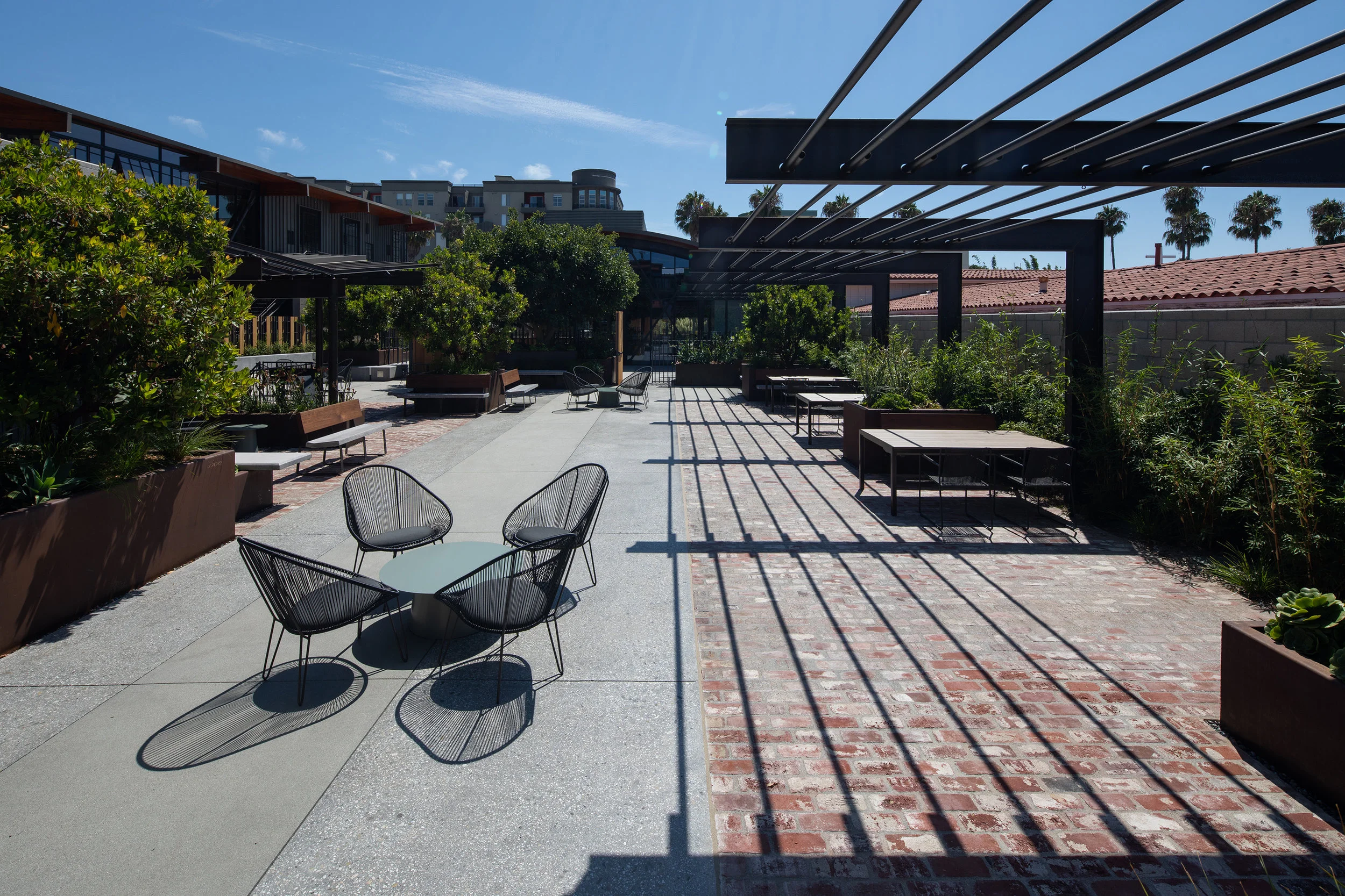 ©2019 RMS_9235.JPG