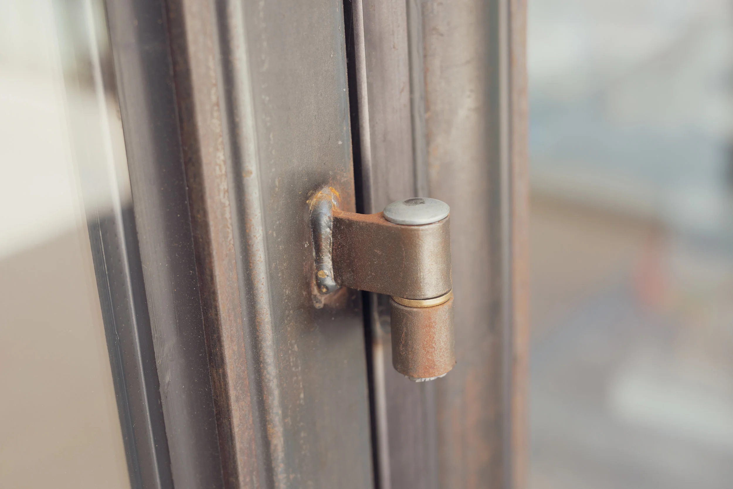 ©2019 RMS_9386.JPG