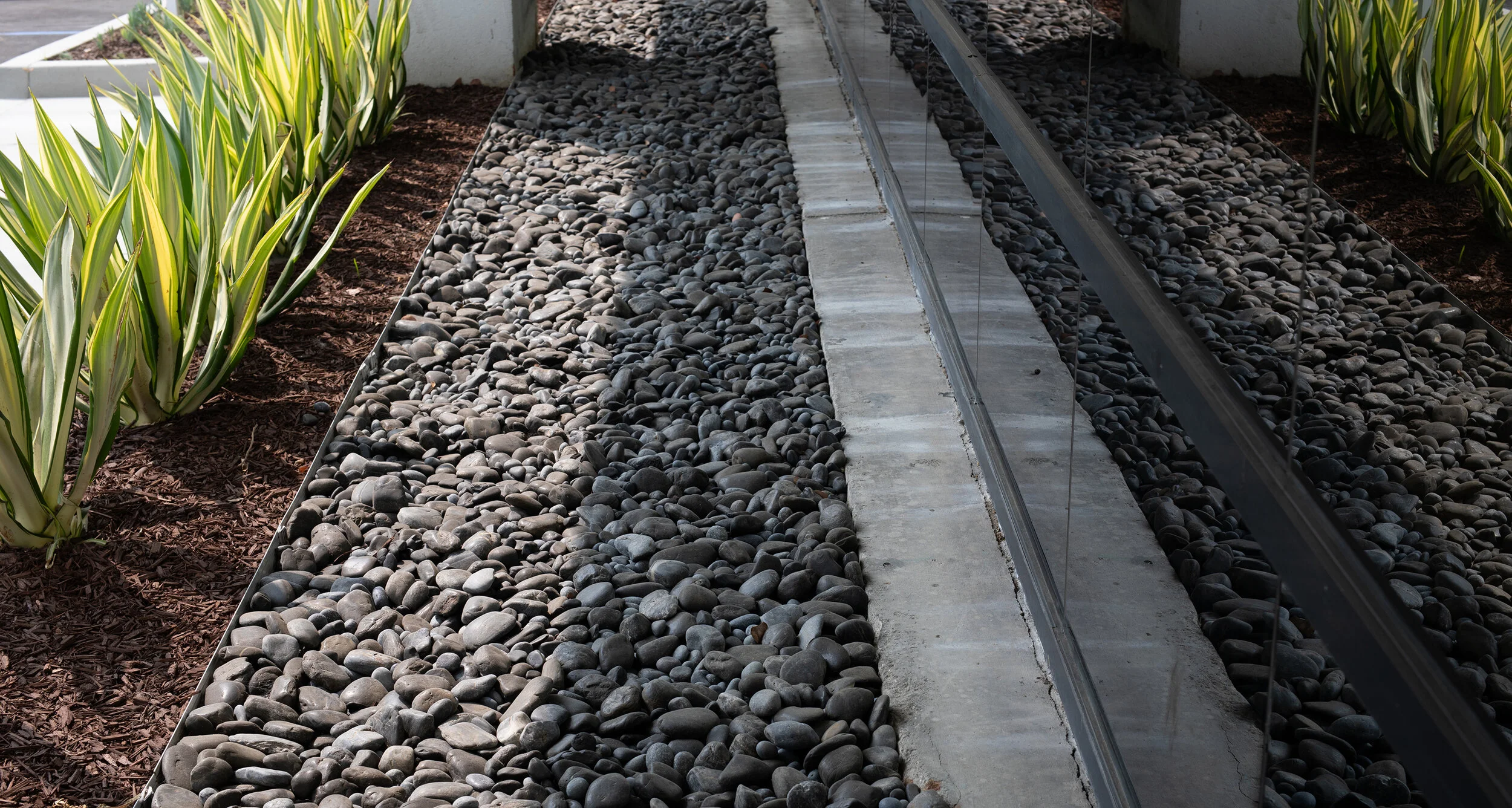 ©2020 RMS_10002.JPG