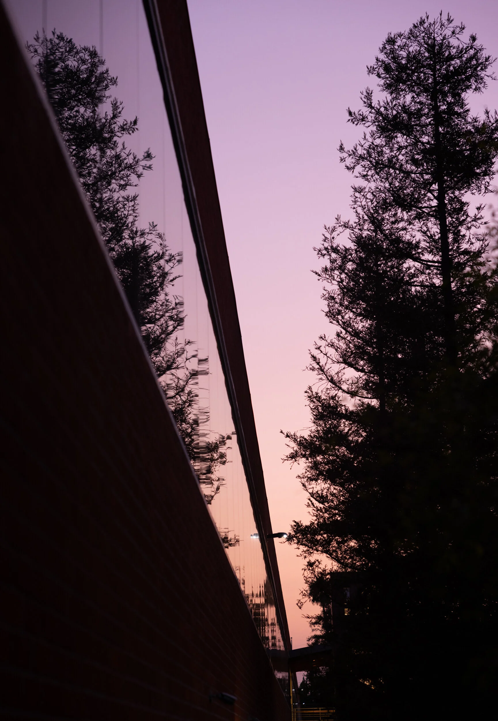 ©2021 RMS_5493.JPG