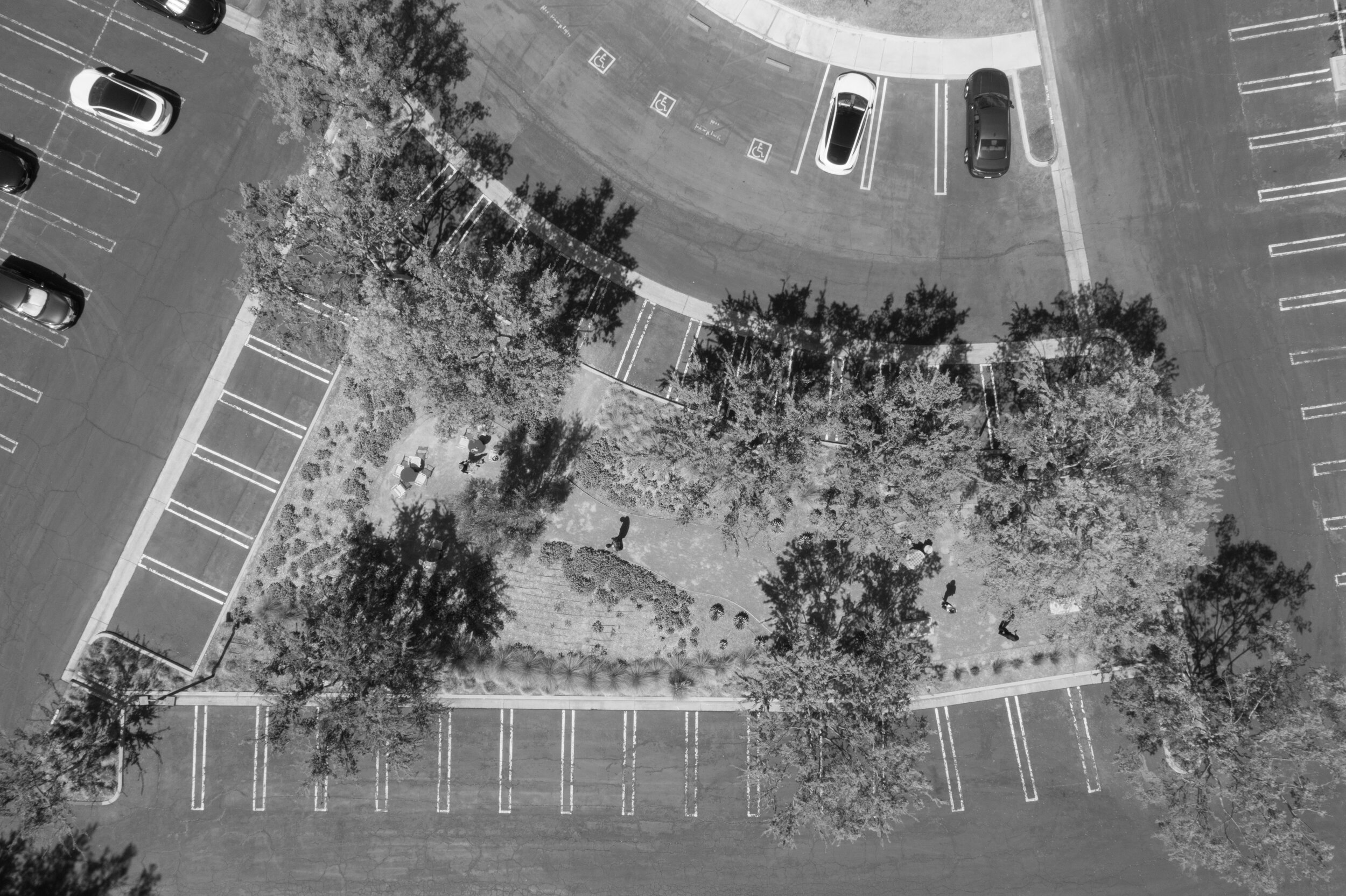 ©2021  RMS_7861.JPG