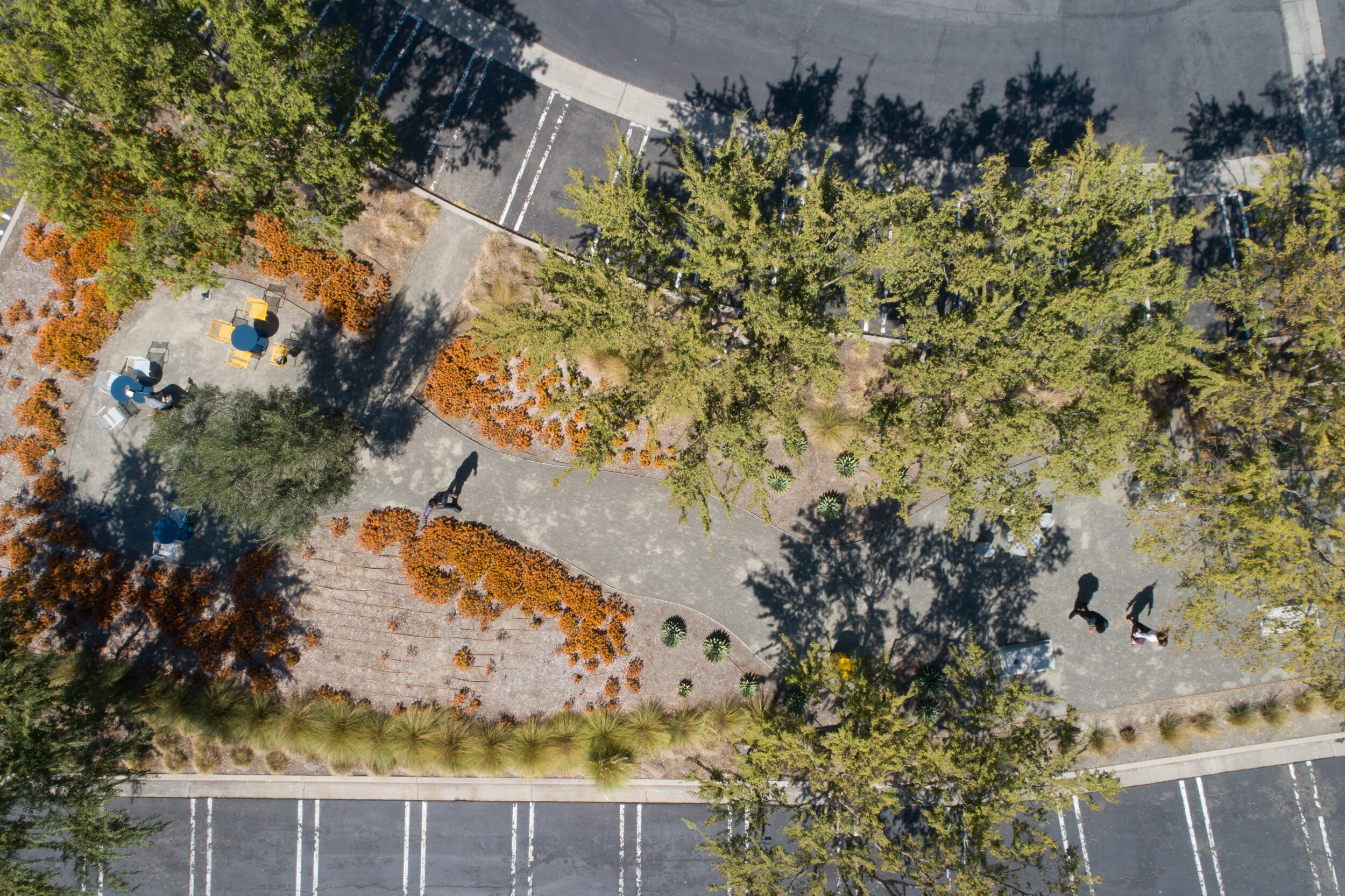 ©2021  RMS_7862.JPG