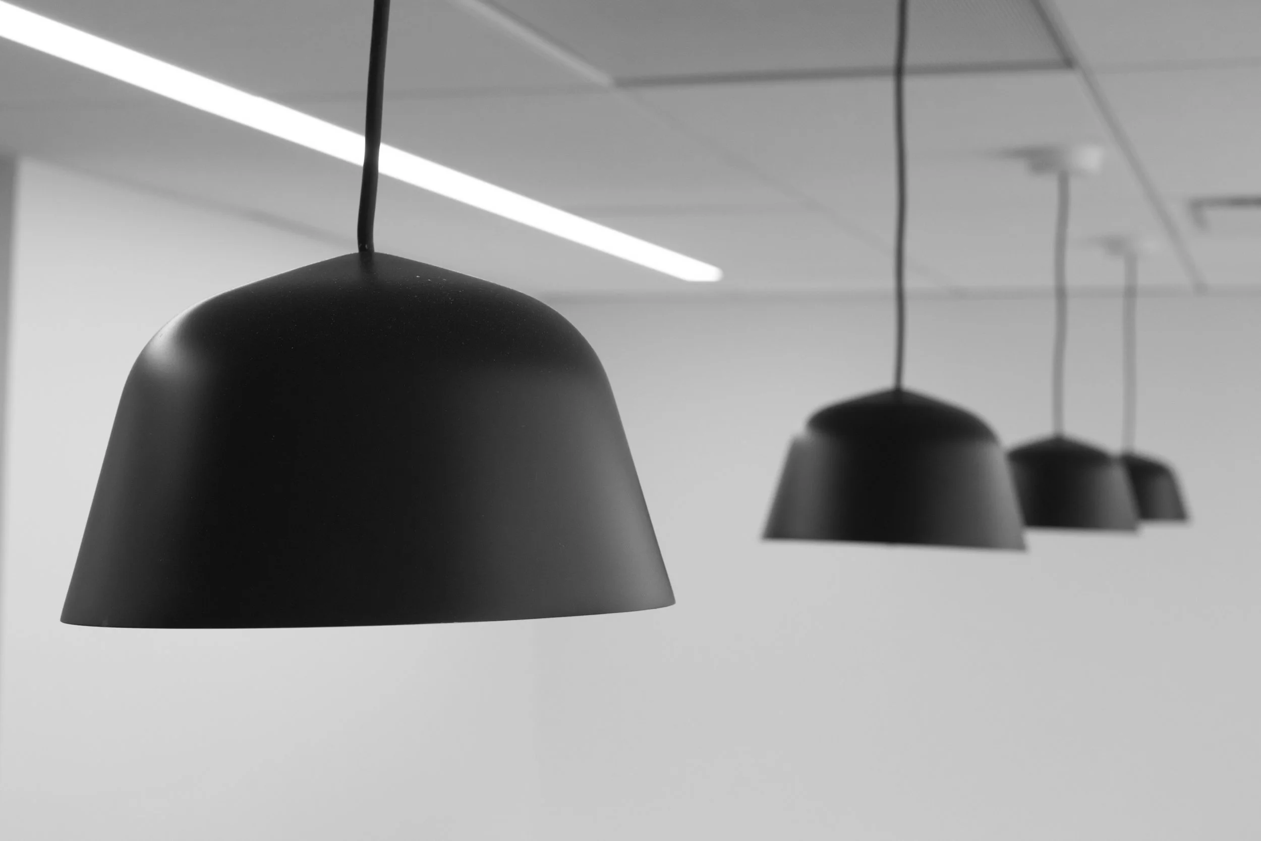 Ⓒ2023 RMS_7M4A0267.jpg