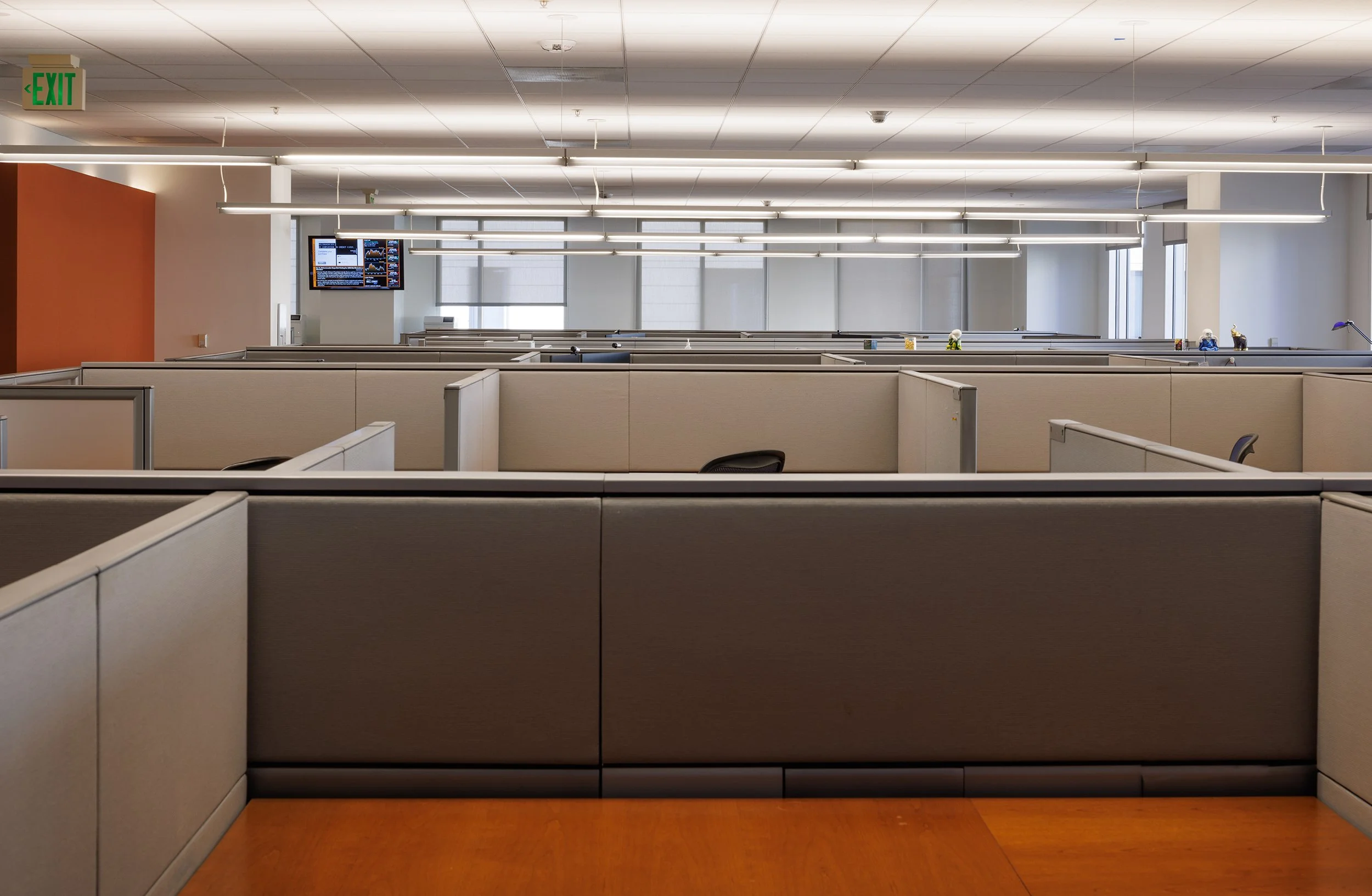 Ⓒ2023 RMS_7M4A2672.JPG