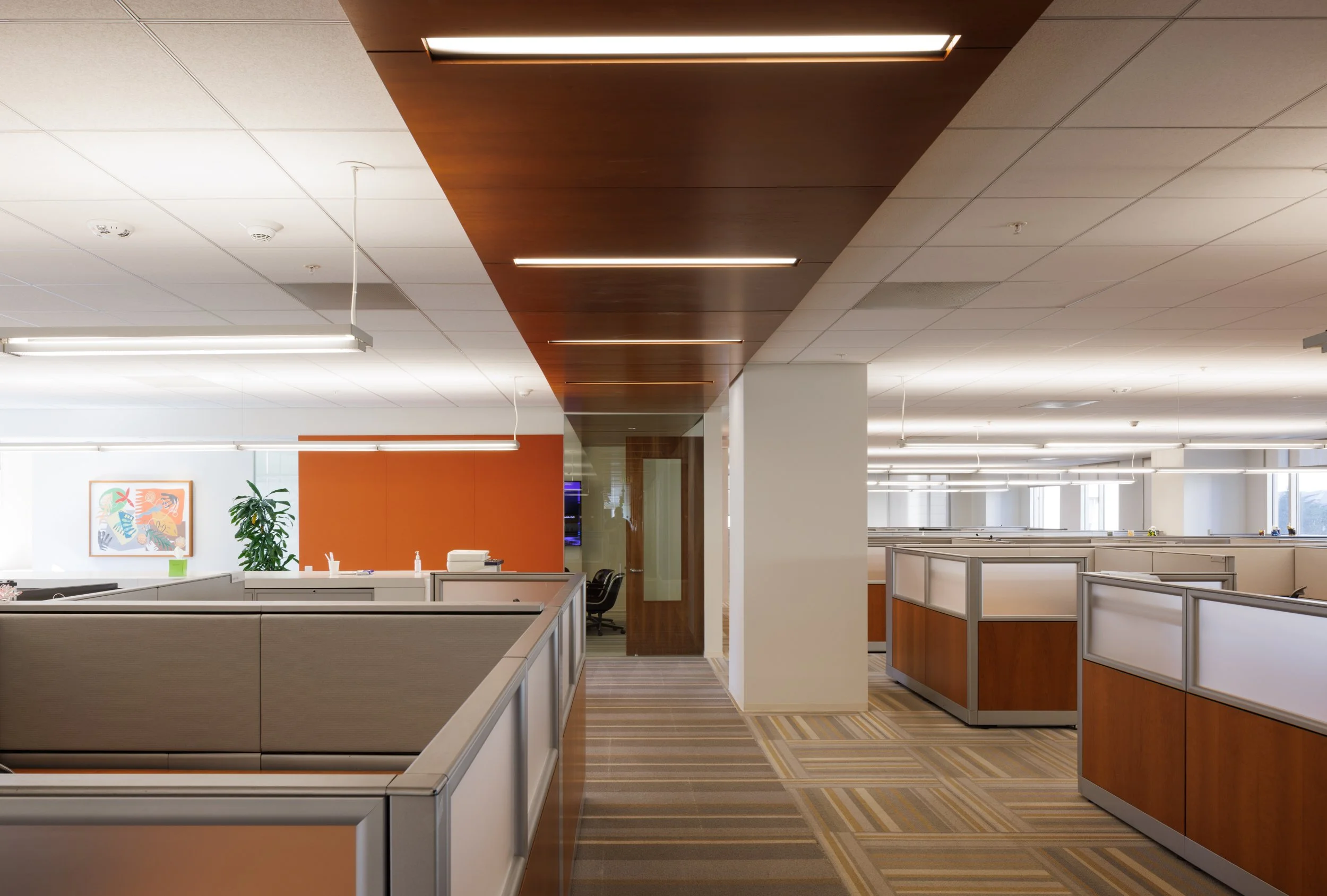 Ⓒ2023 RMS_7M4A2677.JPG