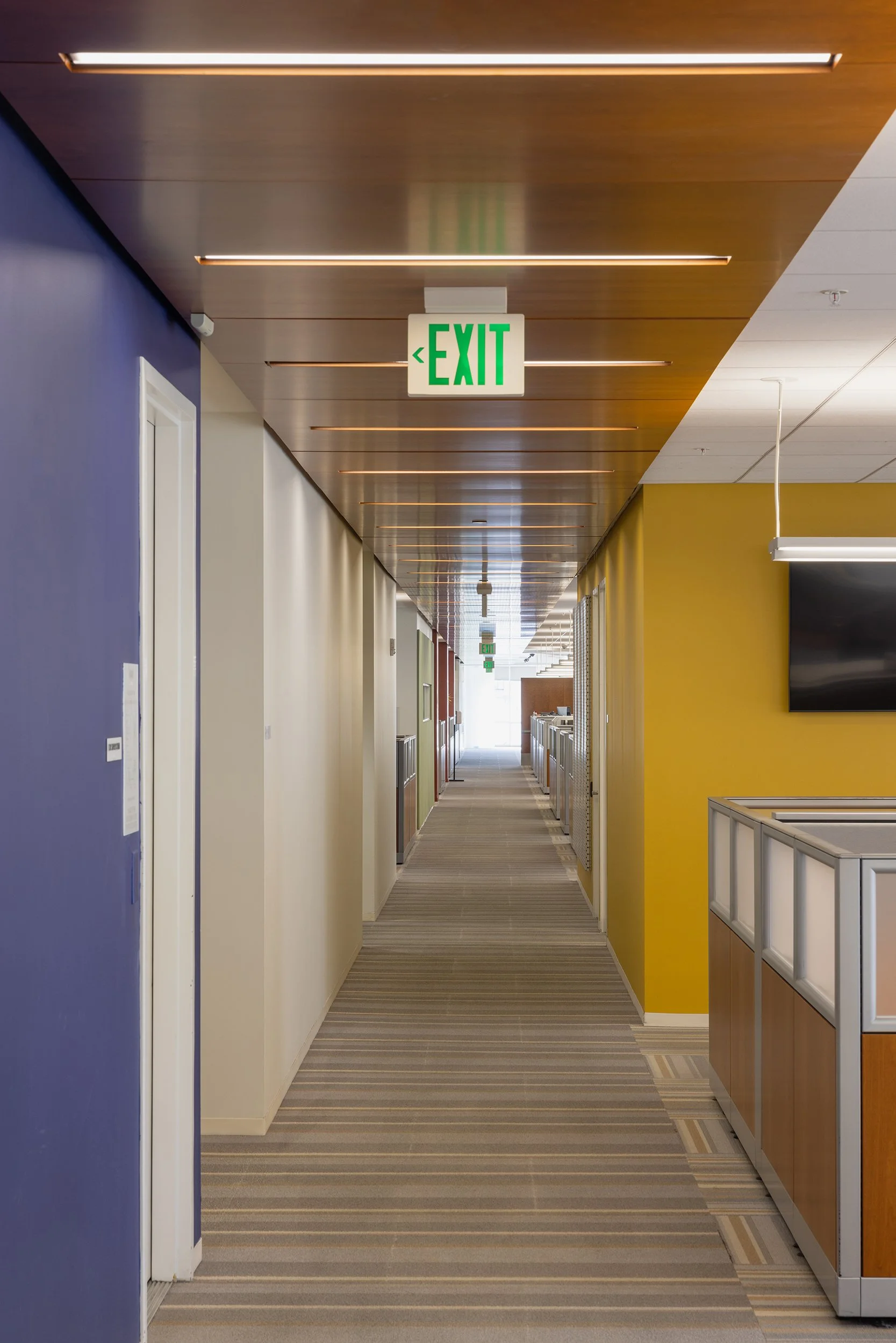 Ⓒ2023 RMS_7M4A2698.JPG