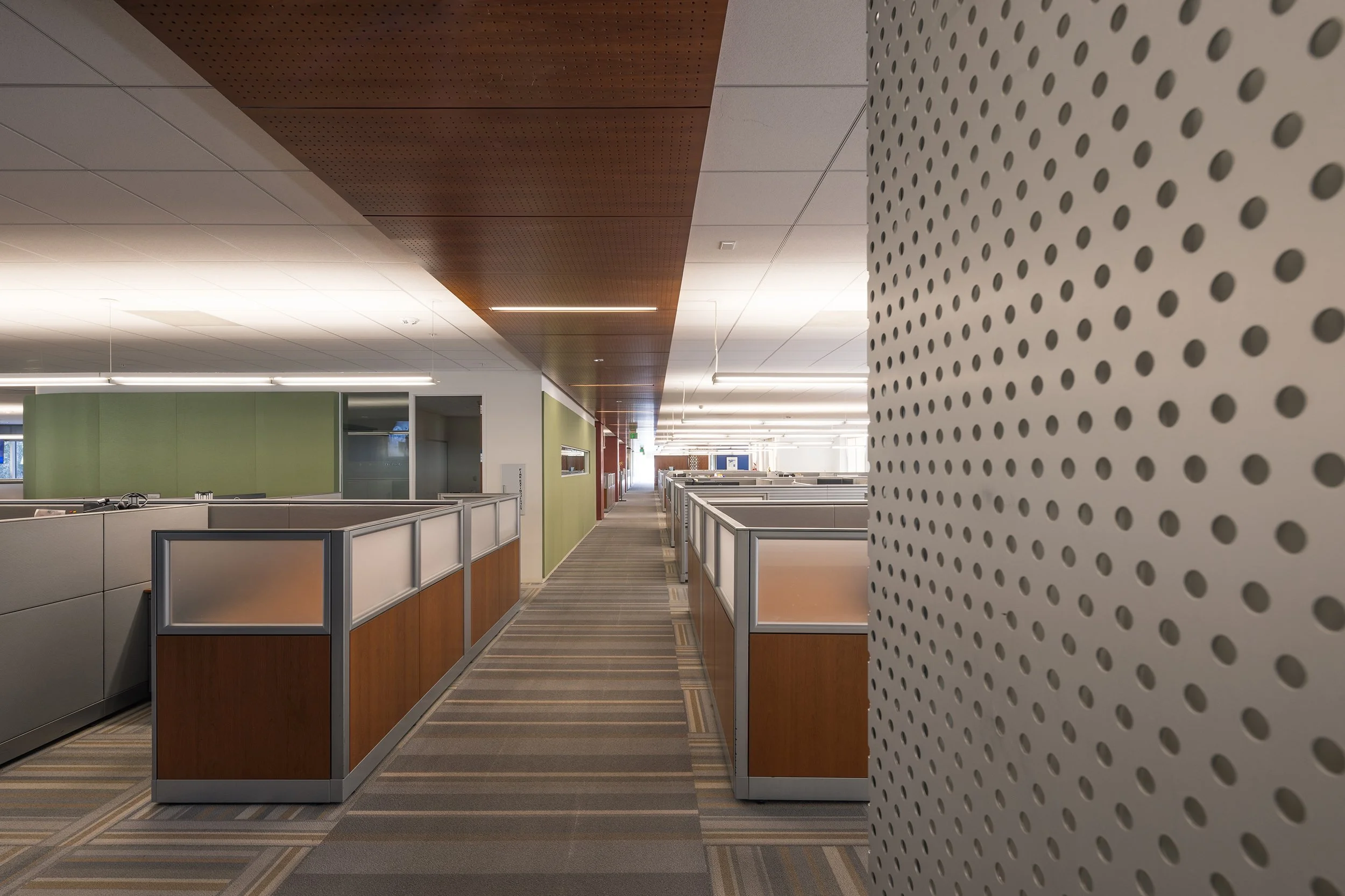 Ⓒ2023 RMS_7M4A2702.JPG