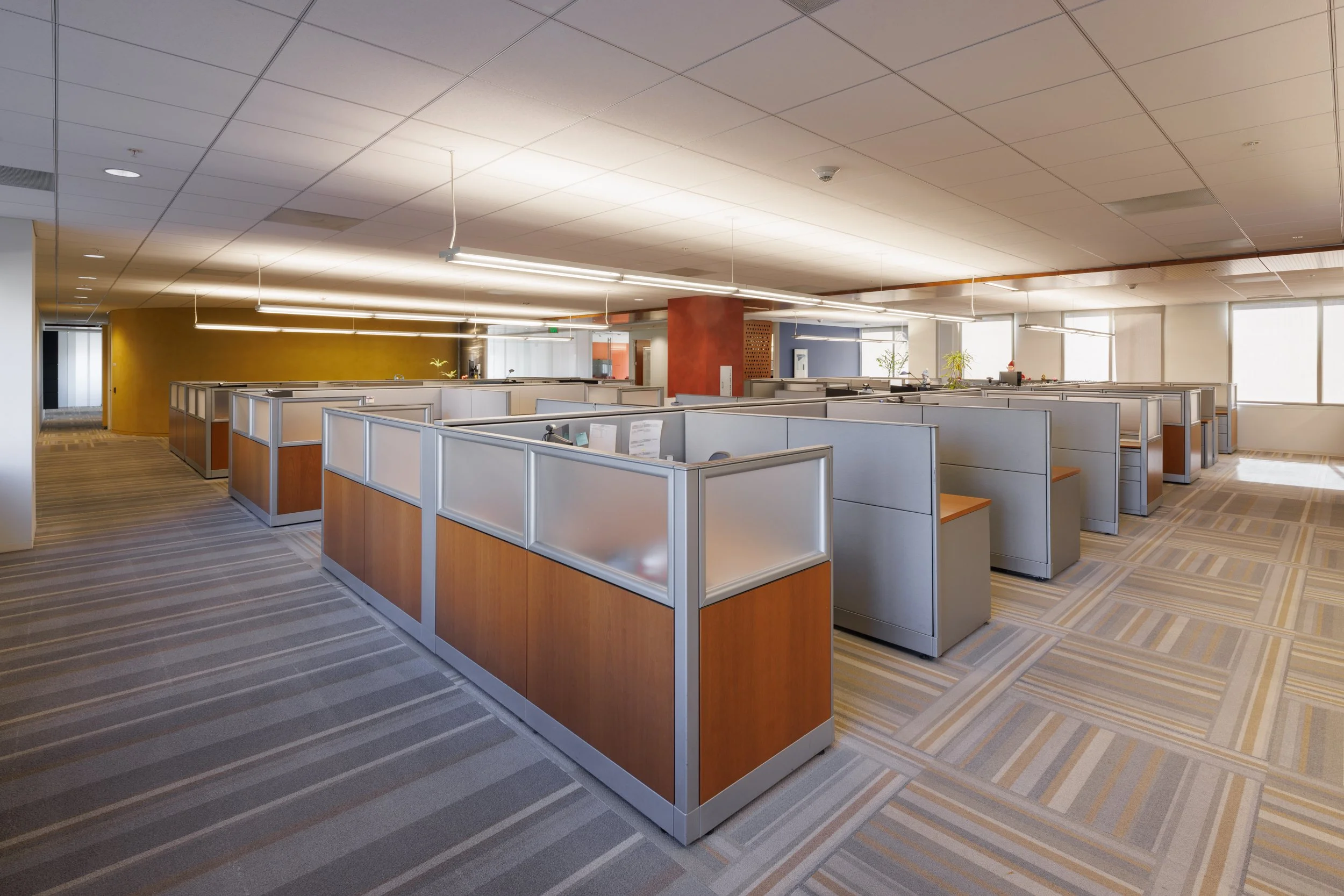 Ⓒ2023 RMS_7M4A2711.JPG