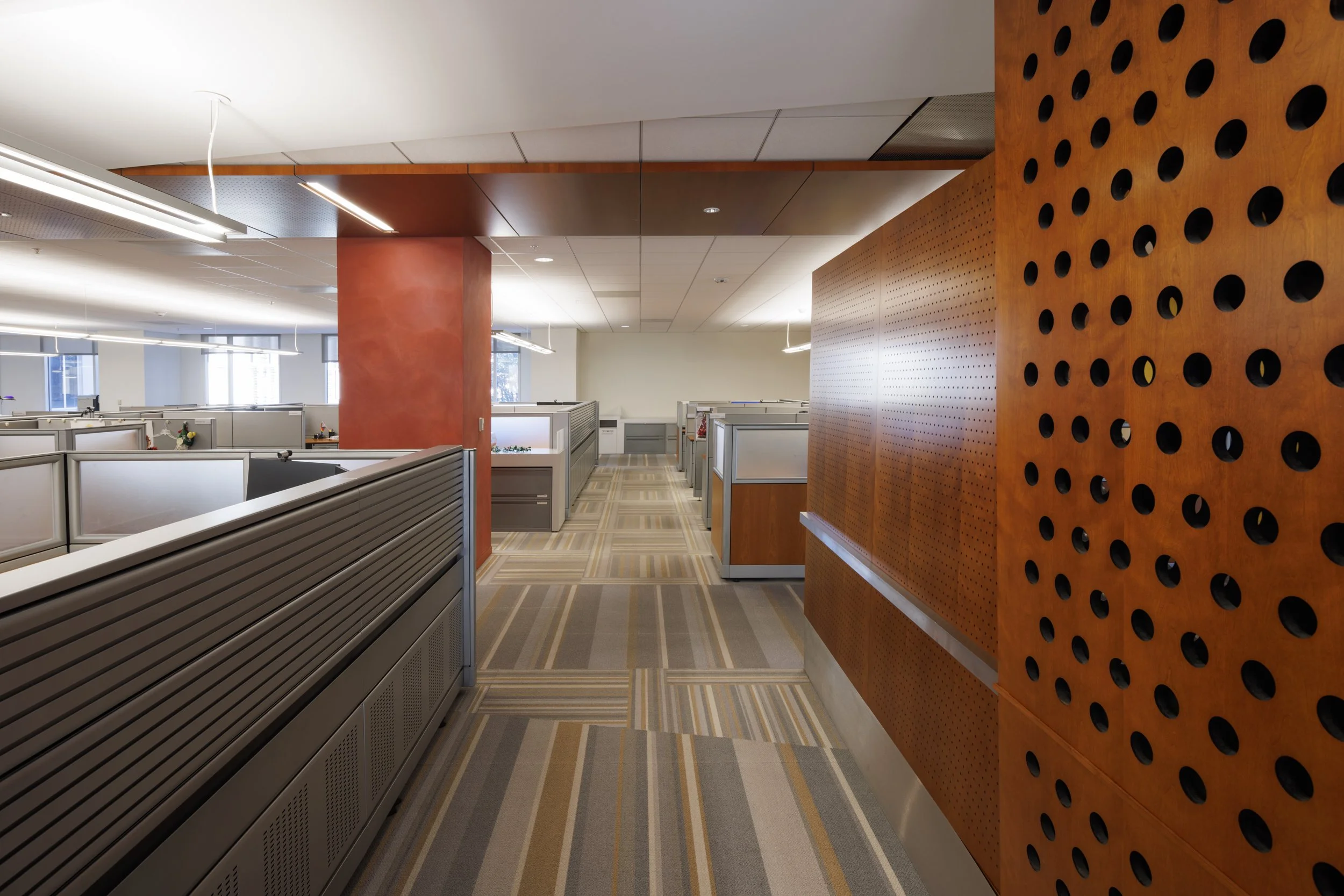 Ⓒ2023 RMS_7M4A2717.JPG