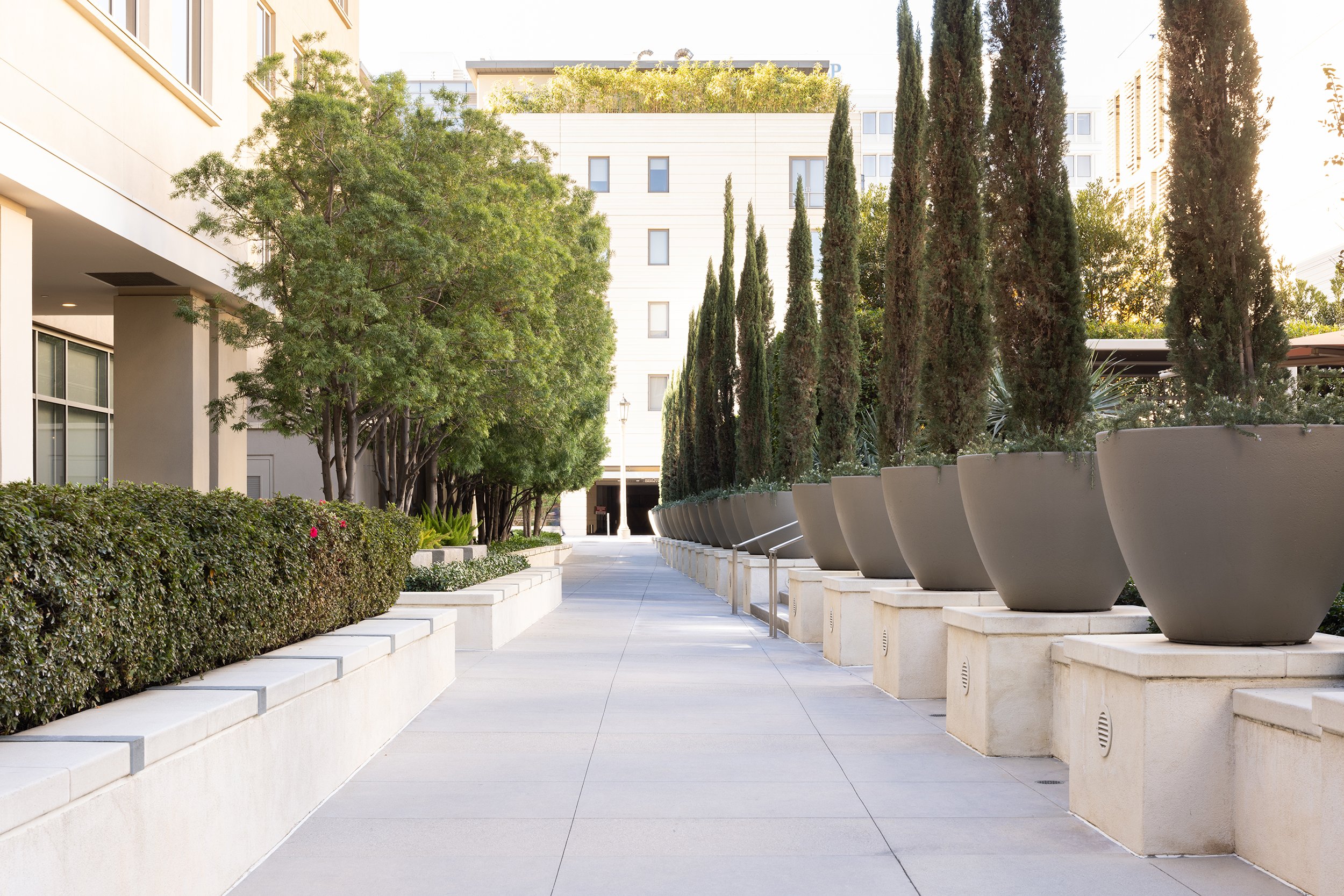 Ⓒ2023 RMS_7M4A2763.JPG