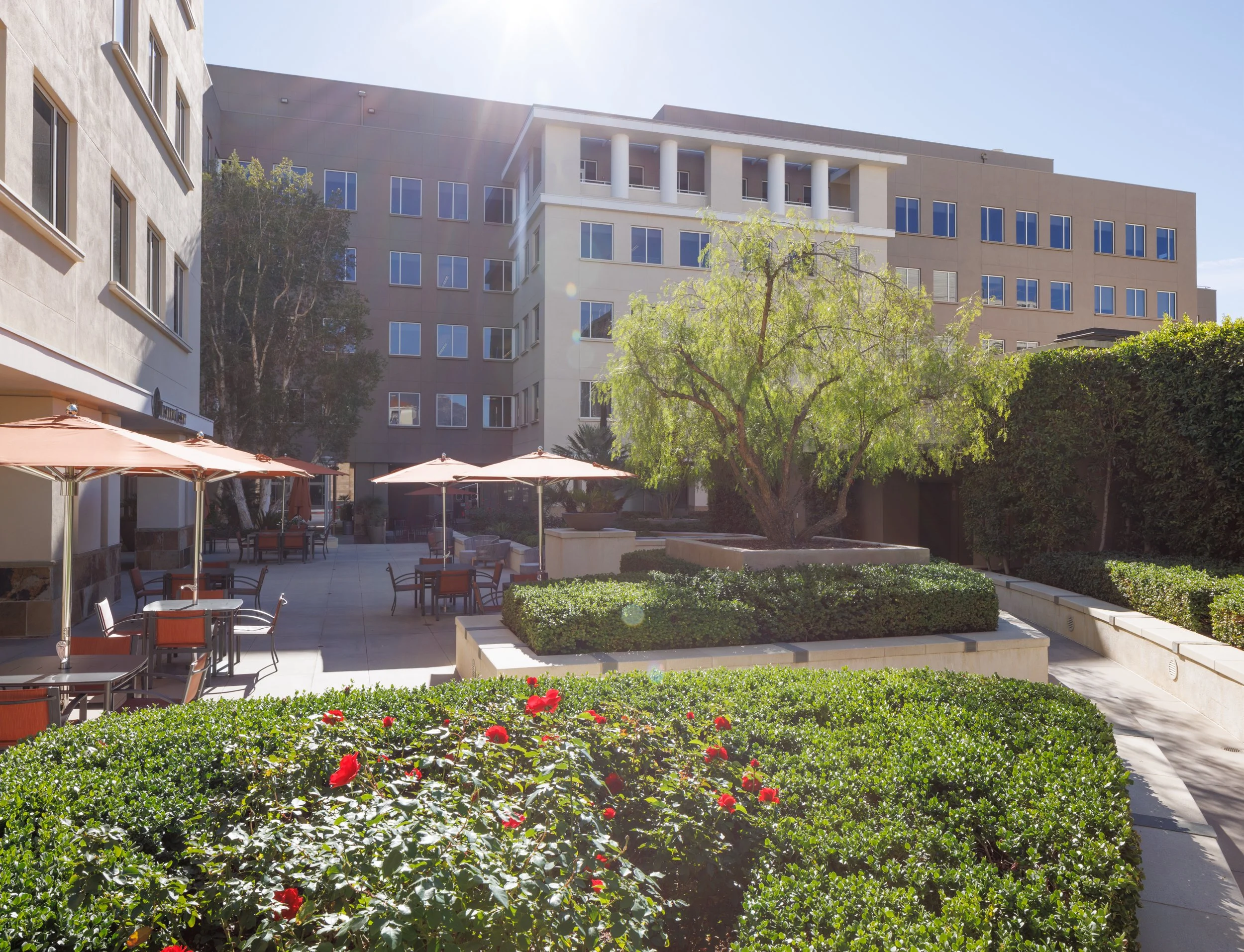 Ⓒ2023 RMS_7M4A2766.JPG