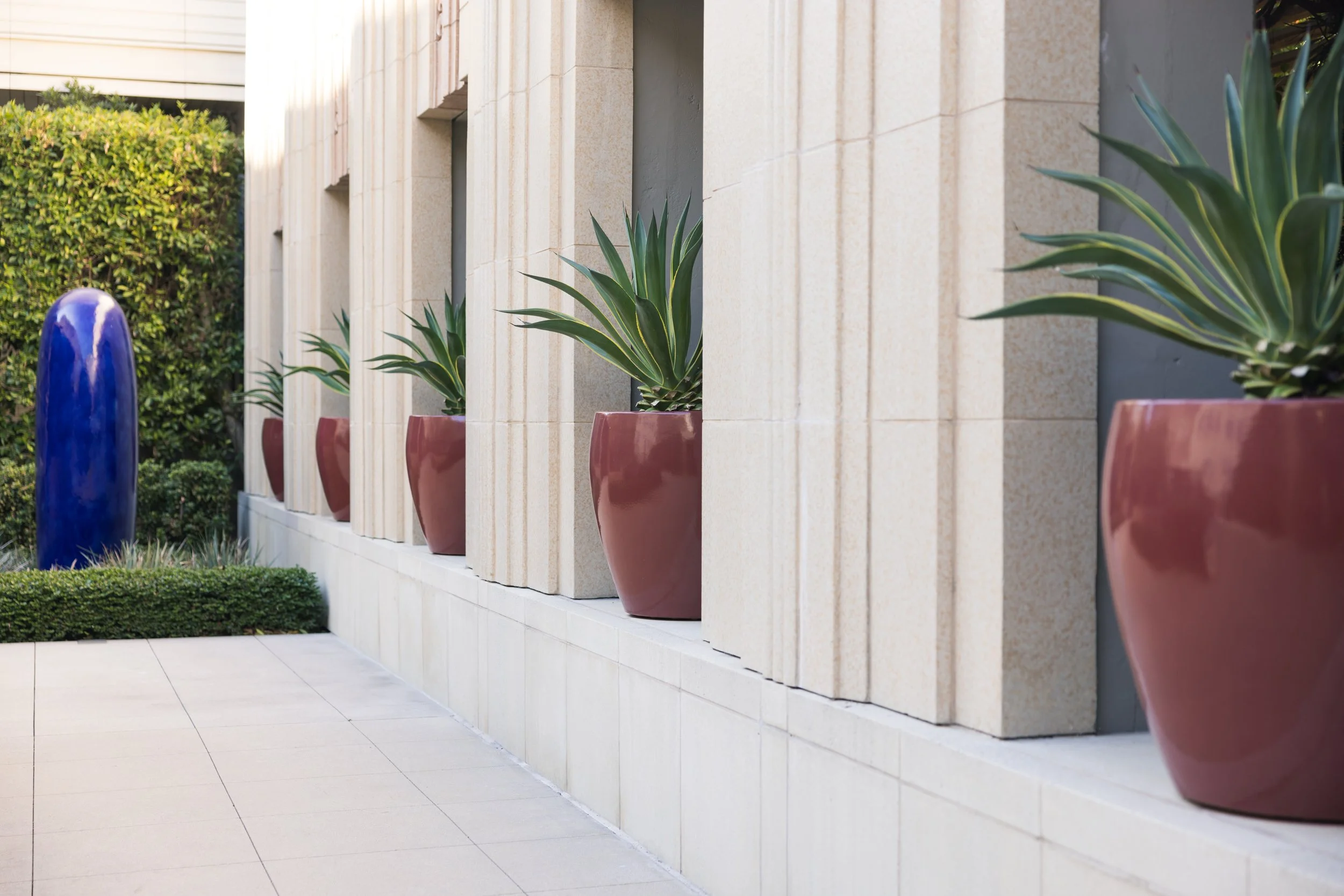 Ⓒ2023 RMS_7M4A2778.JPG